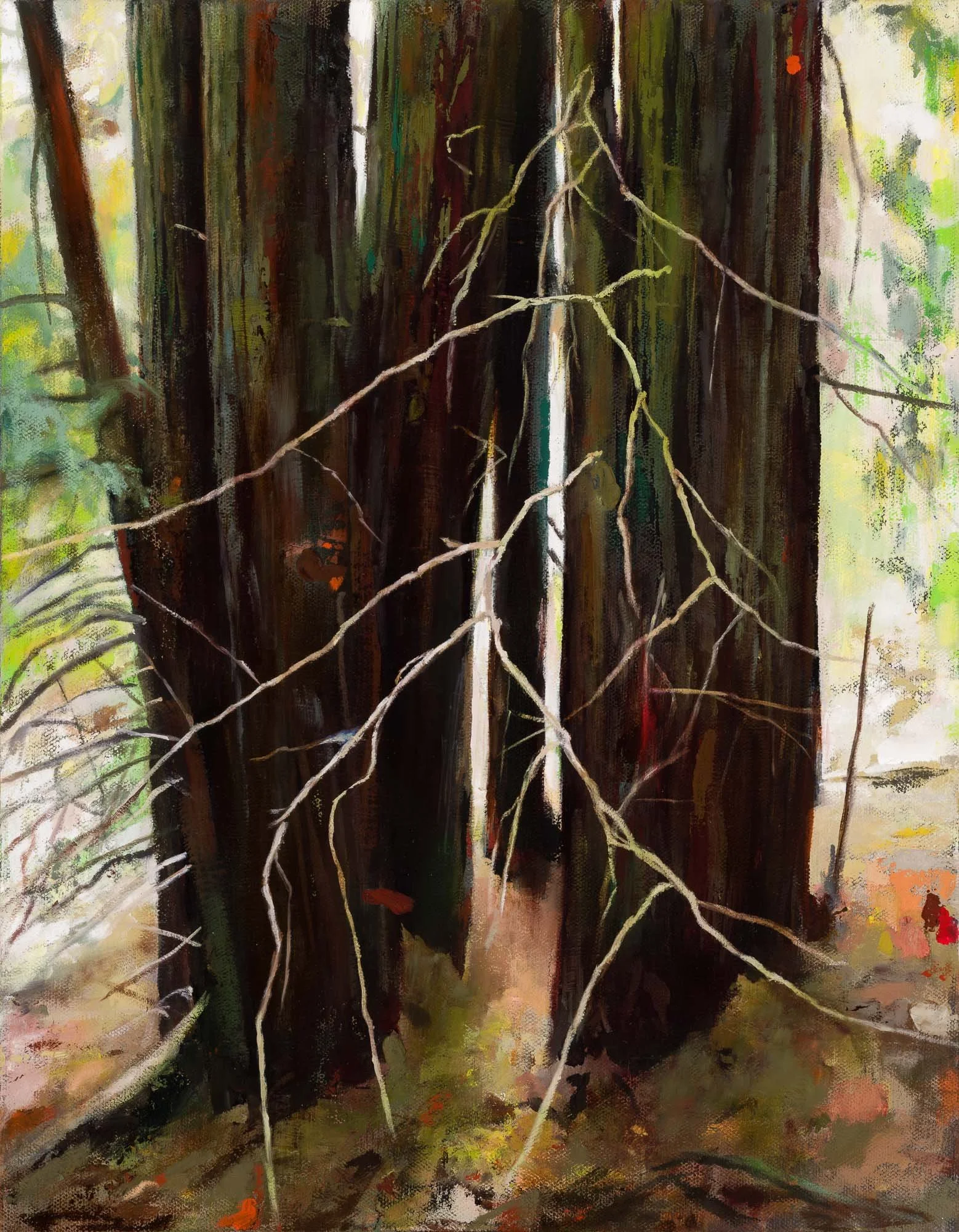   tracery   18" x 14"  oil on canvas  2026   