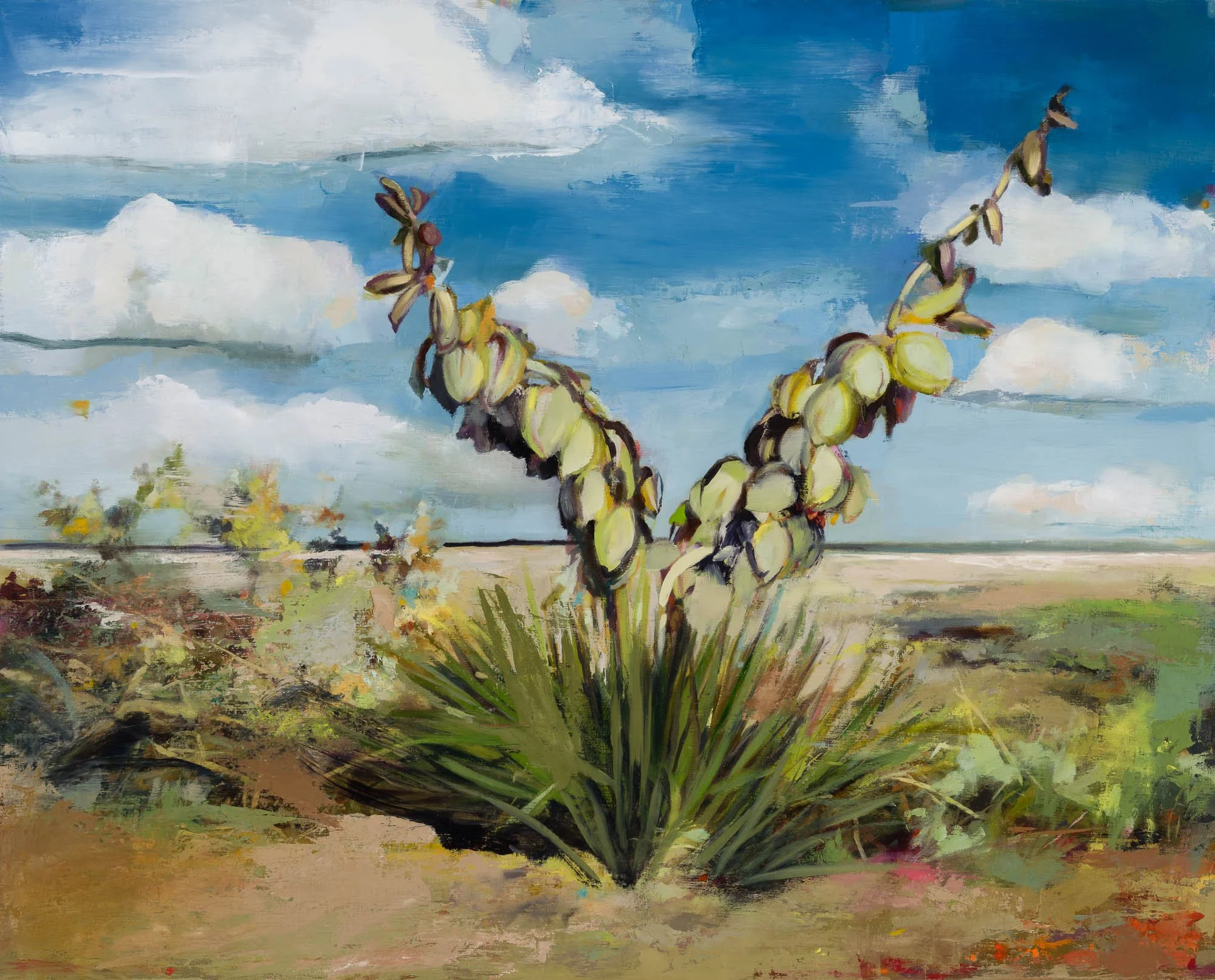   yucca   24" x 30"  oil on panel  2026   