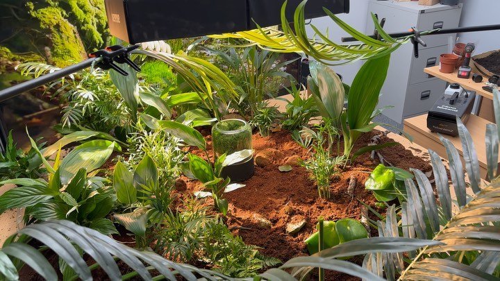 It&rsquo;s been a busy month, nice to be finished for the year. Happy Xmas to you all! #happyxmas #sonyfx6 #behindthescenes #aputure #aputurelighting #lovemyjob