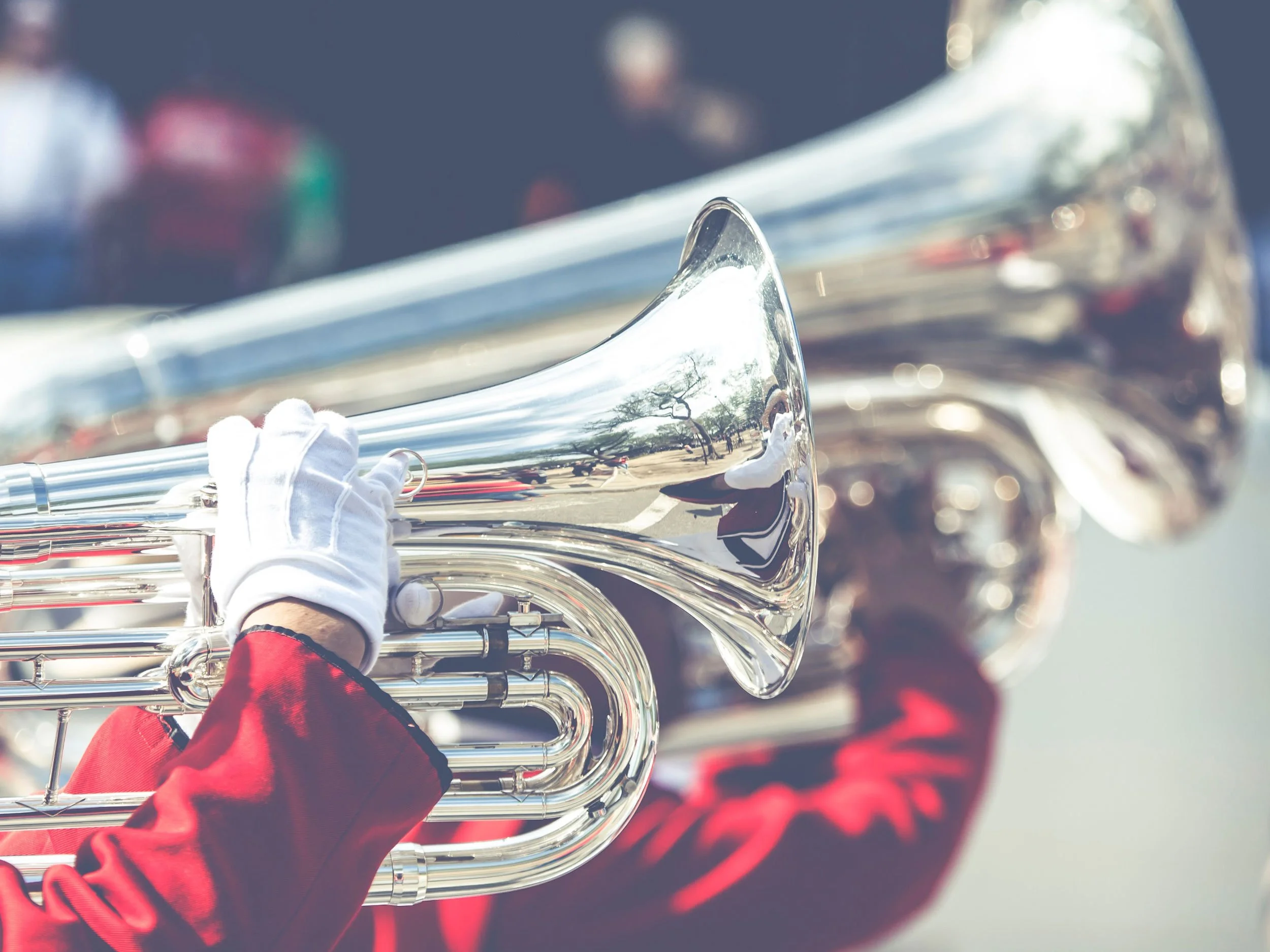 Celebrate Black History Month