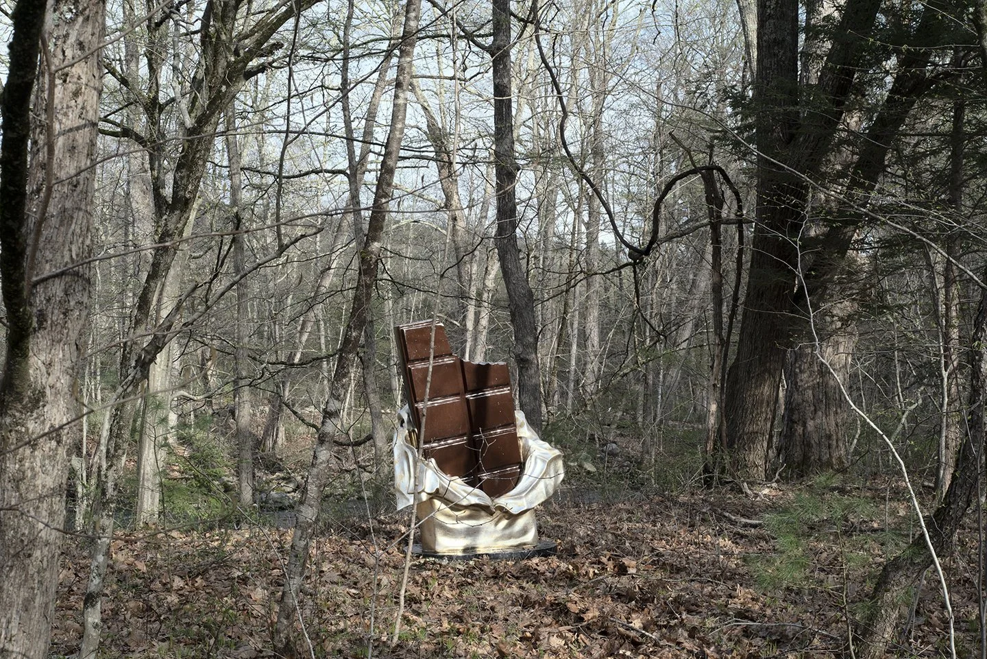 32_big chocolate woods copy.jpg