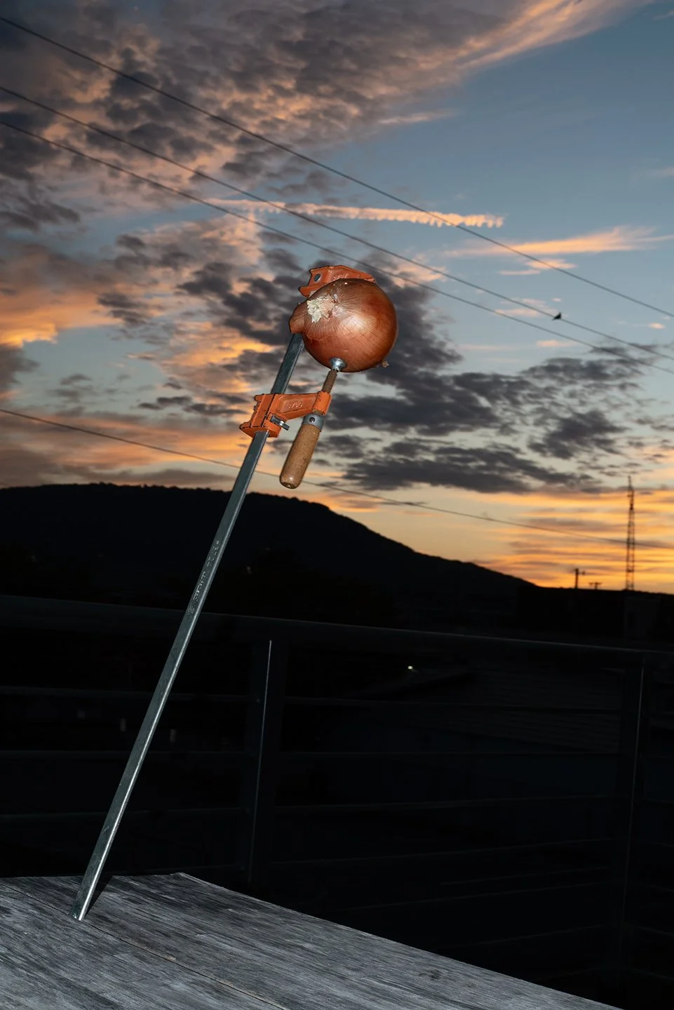 69_sunset onion copy.jpg