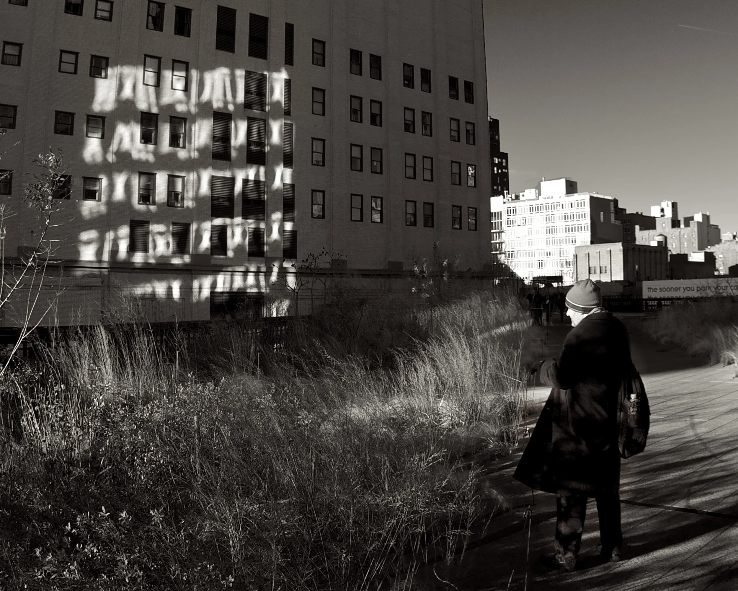 Light, Weird Guy and the High Line..jpg