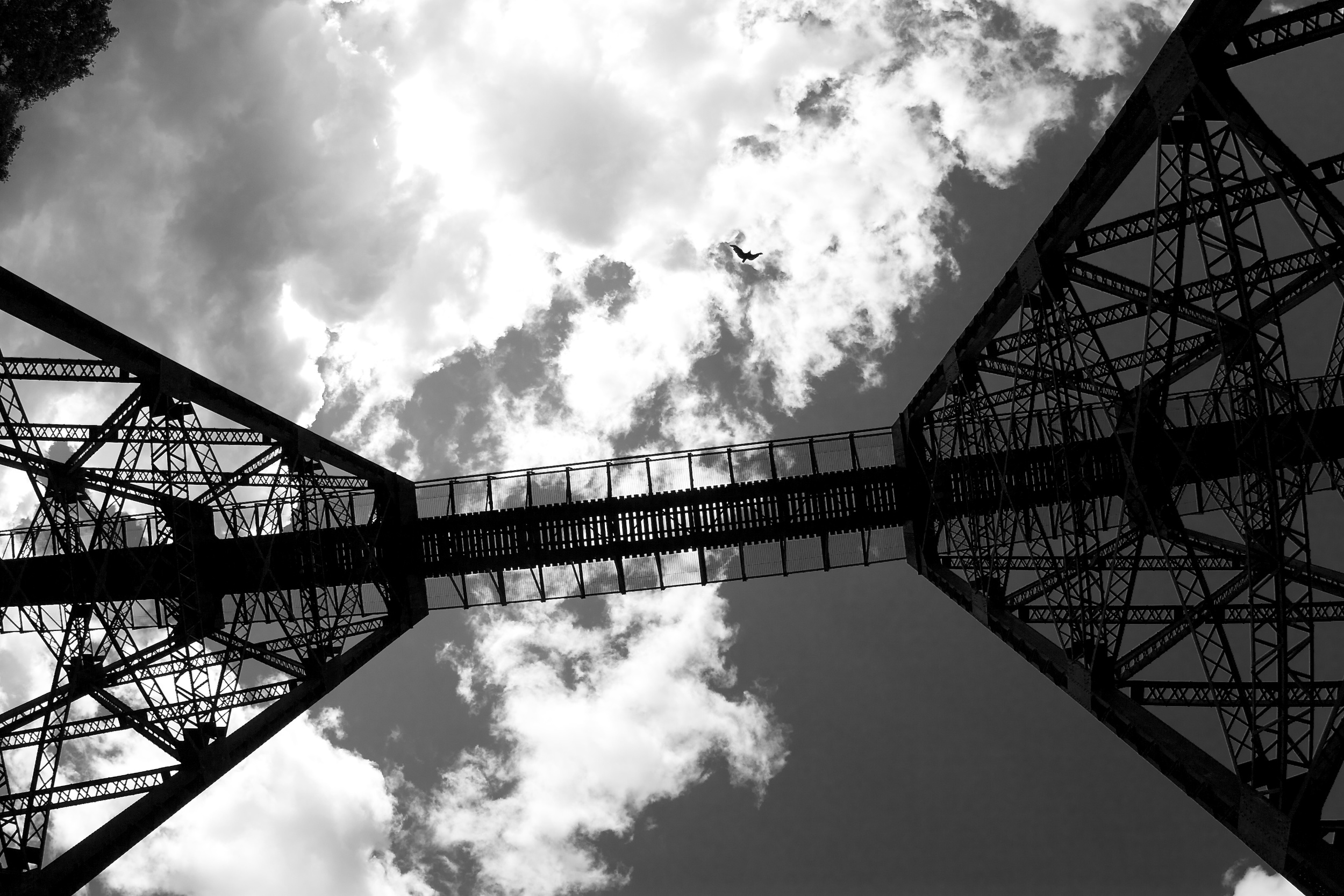 Big Bird and Big Bridge..jpg