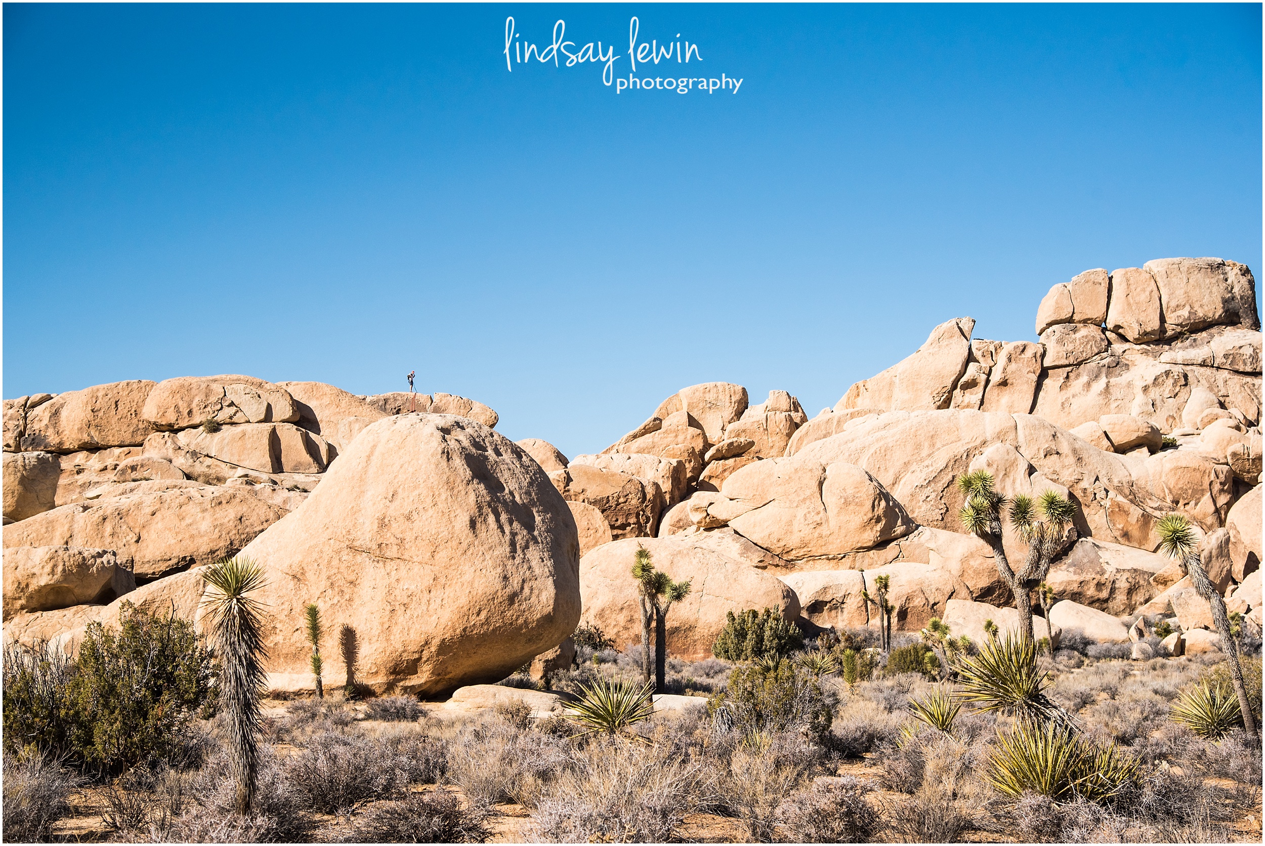 Joshua Tree National Park