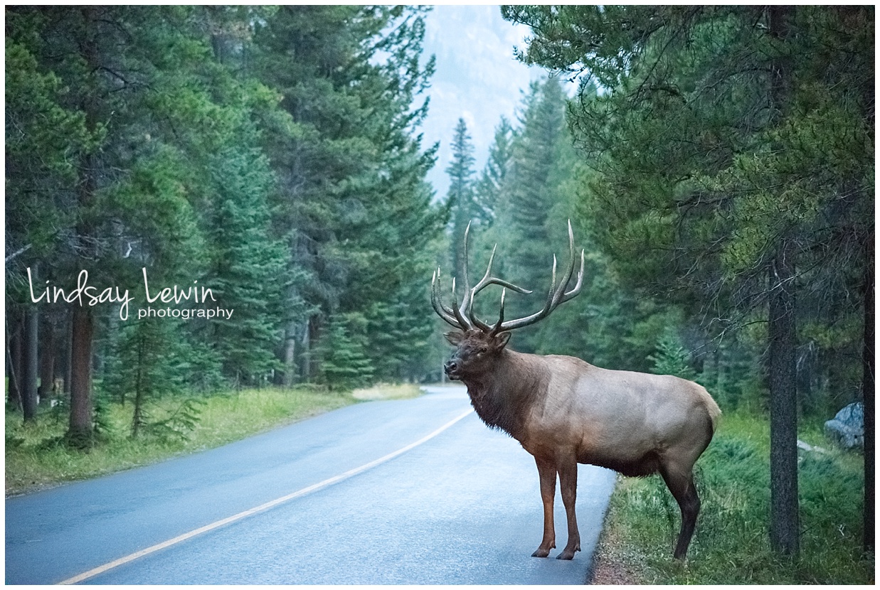 Banff- Alberta, Canada