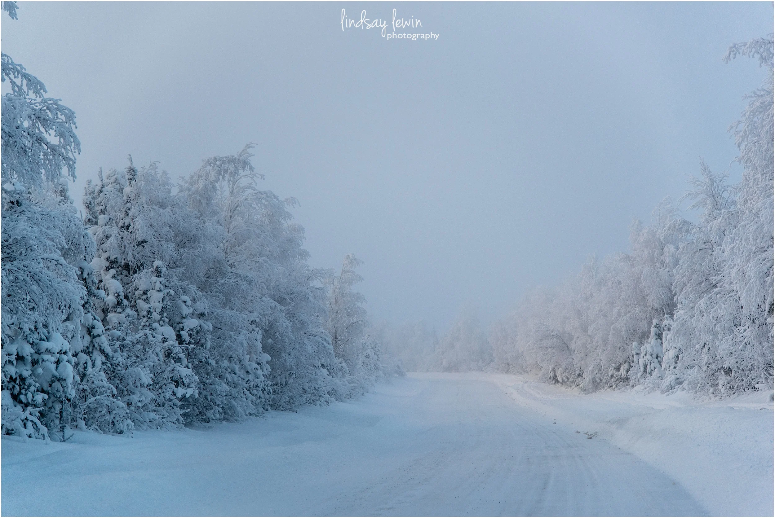 LindsayLewin_photography_Fairbanks_Alaska_2017_0325.jpg