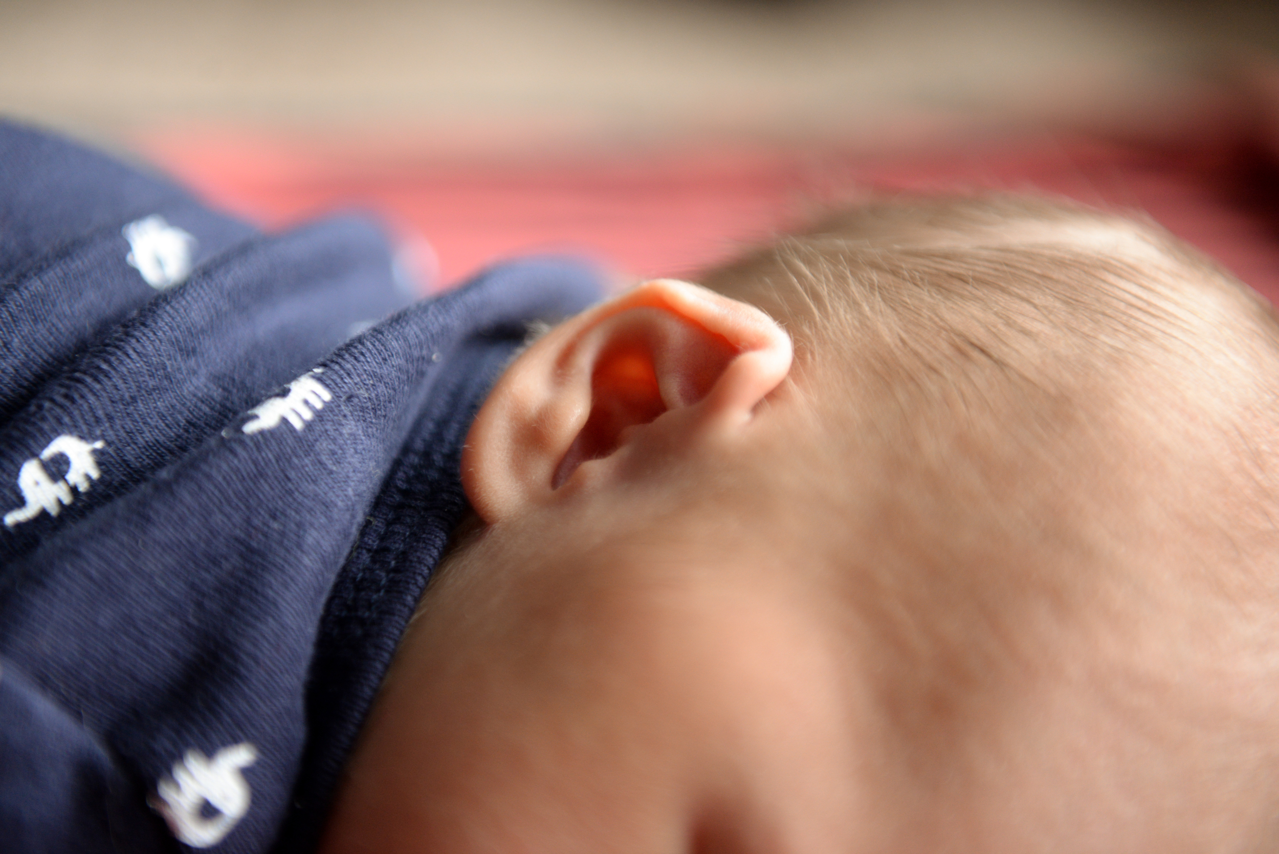 Tiny baby ear!