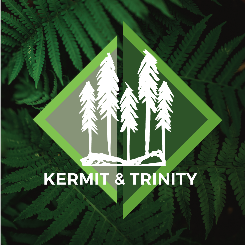 K&T-IG1-09.png