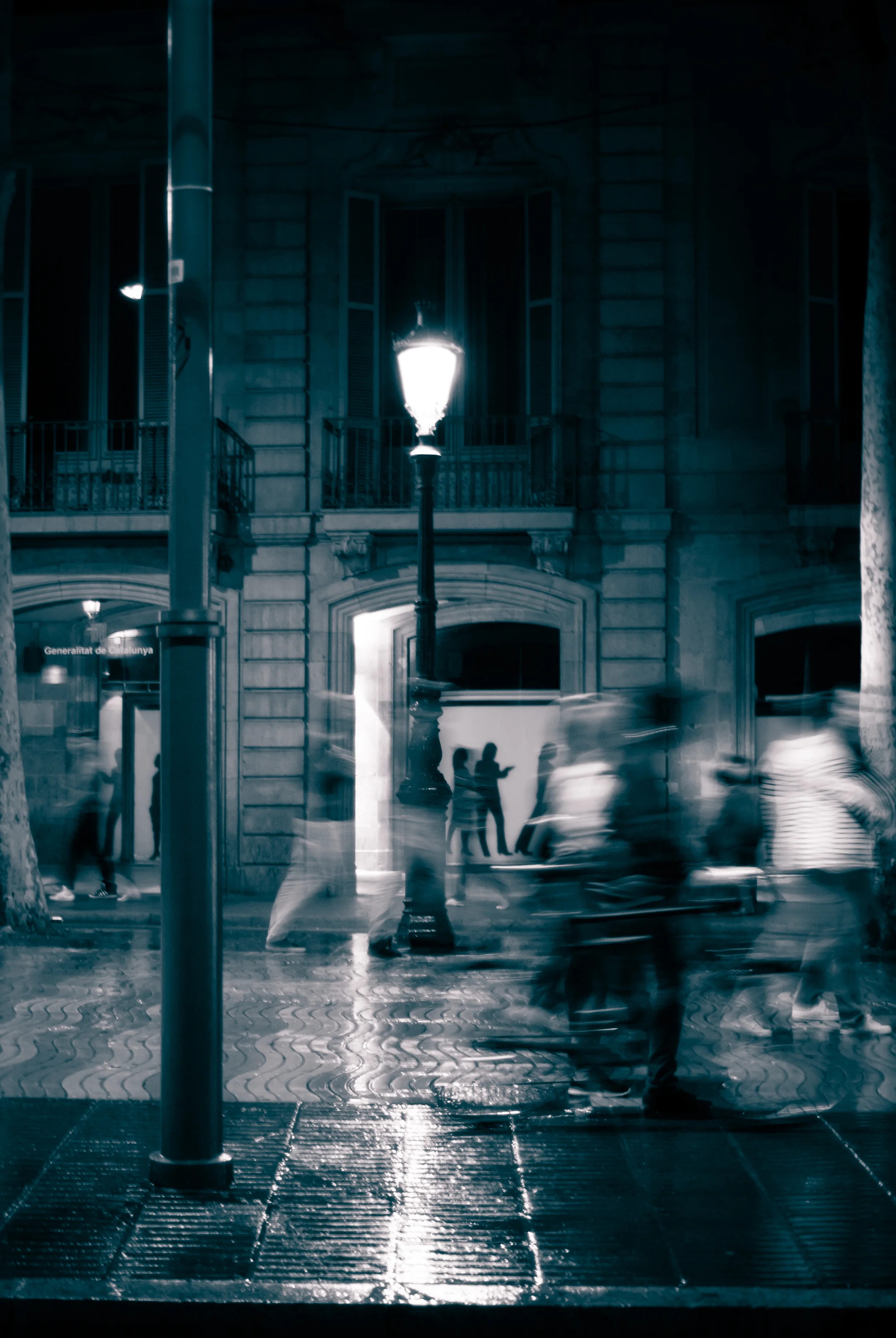 _IGP8442.jpg