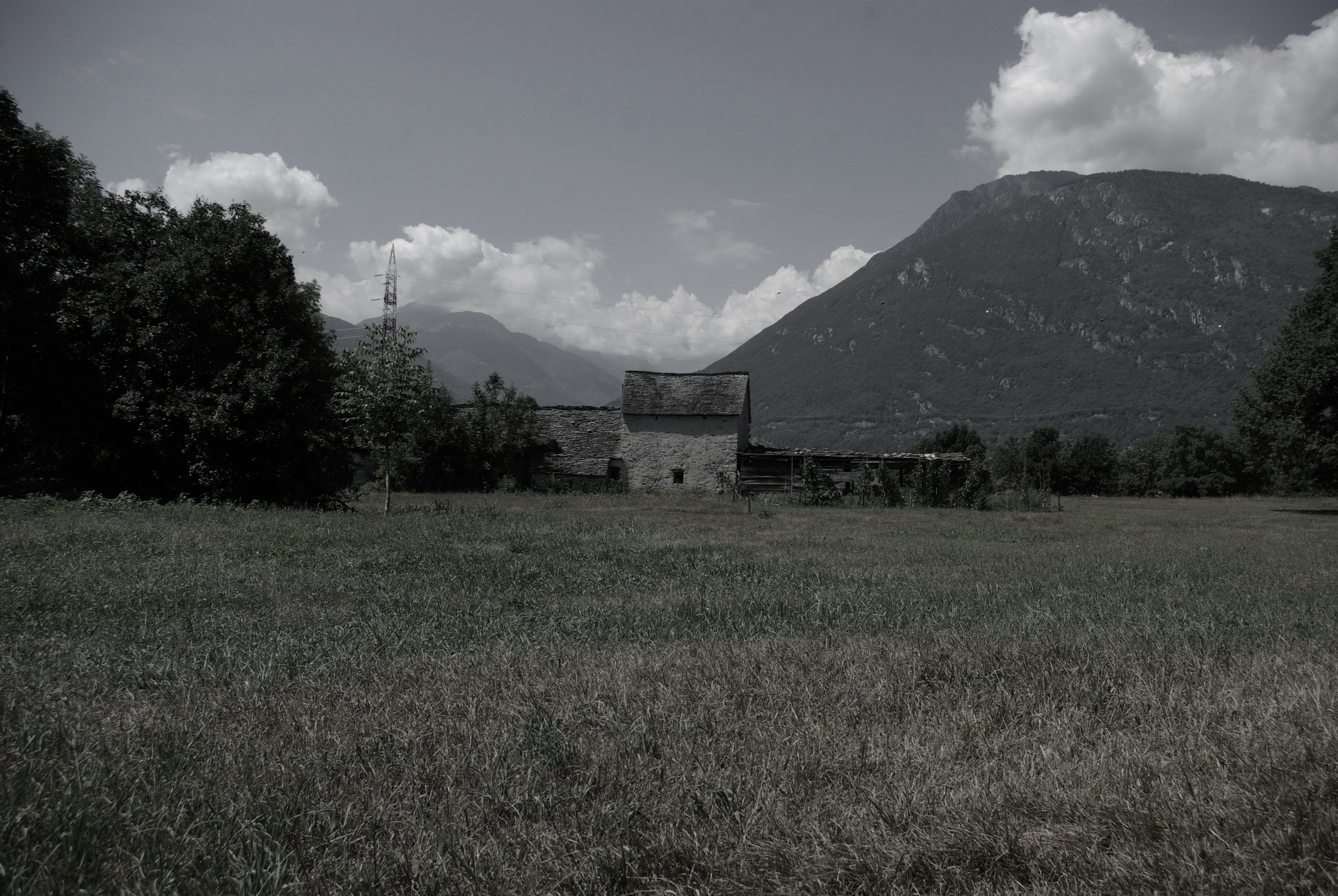 _IGP8564.jpg