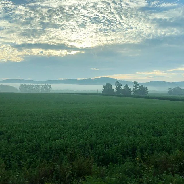 Been having a lot of very early morning shoots lately where I&rsquo;ve seen some amazing early dawn scenes from the Berks County countryside #dawn #berkscounty #landscape