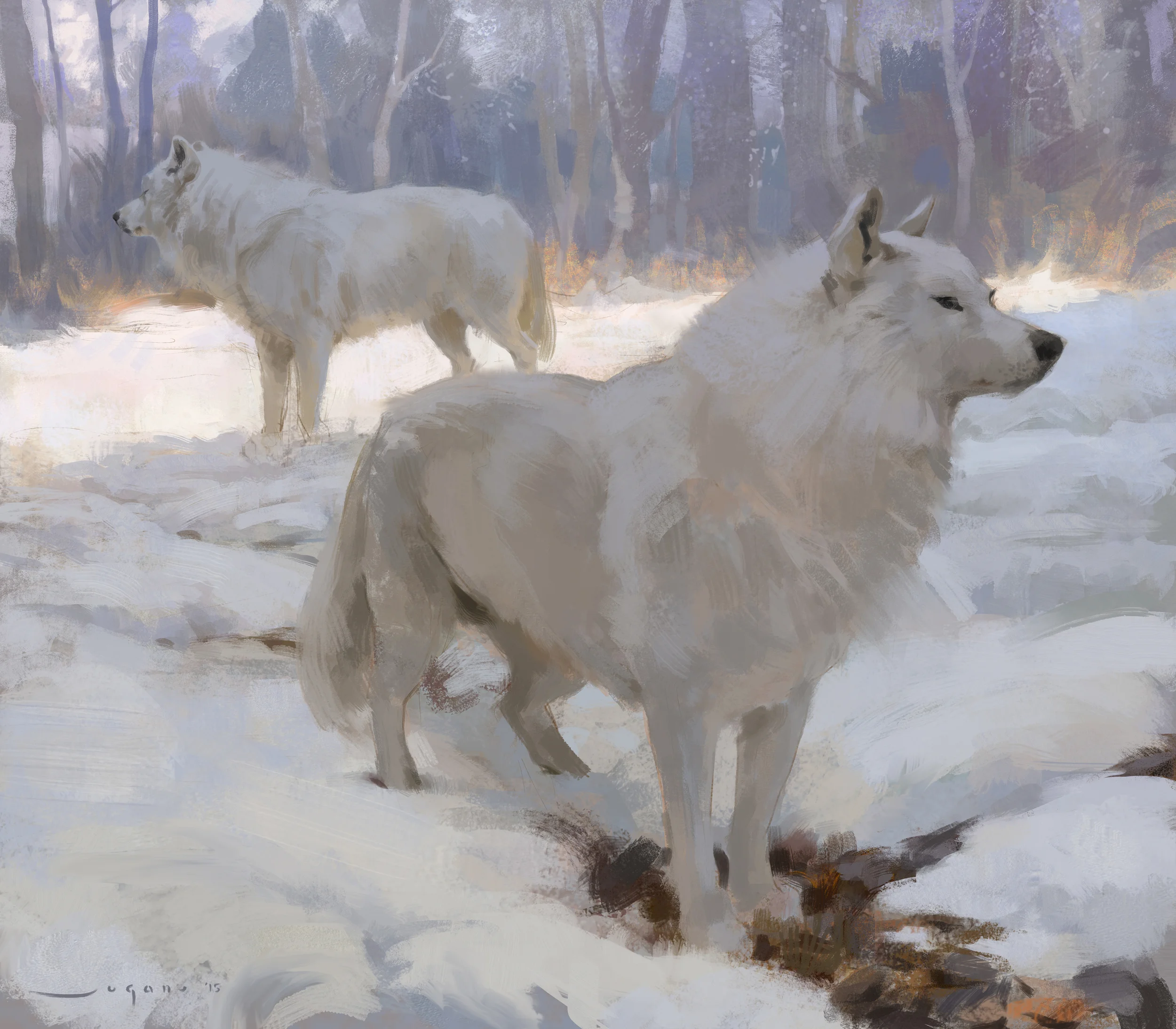aSugano_wolves.jpg