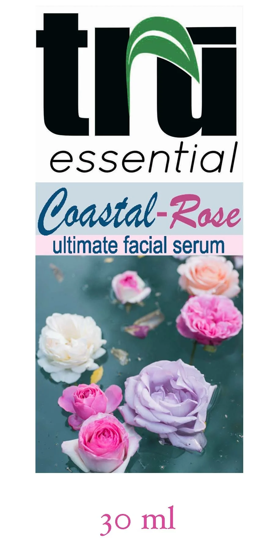 coastalrose-front copy.jpeg