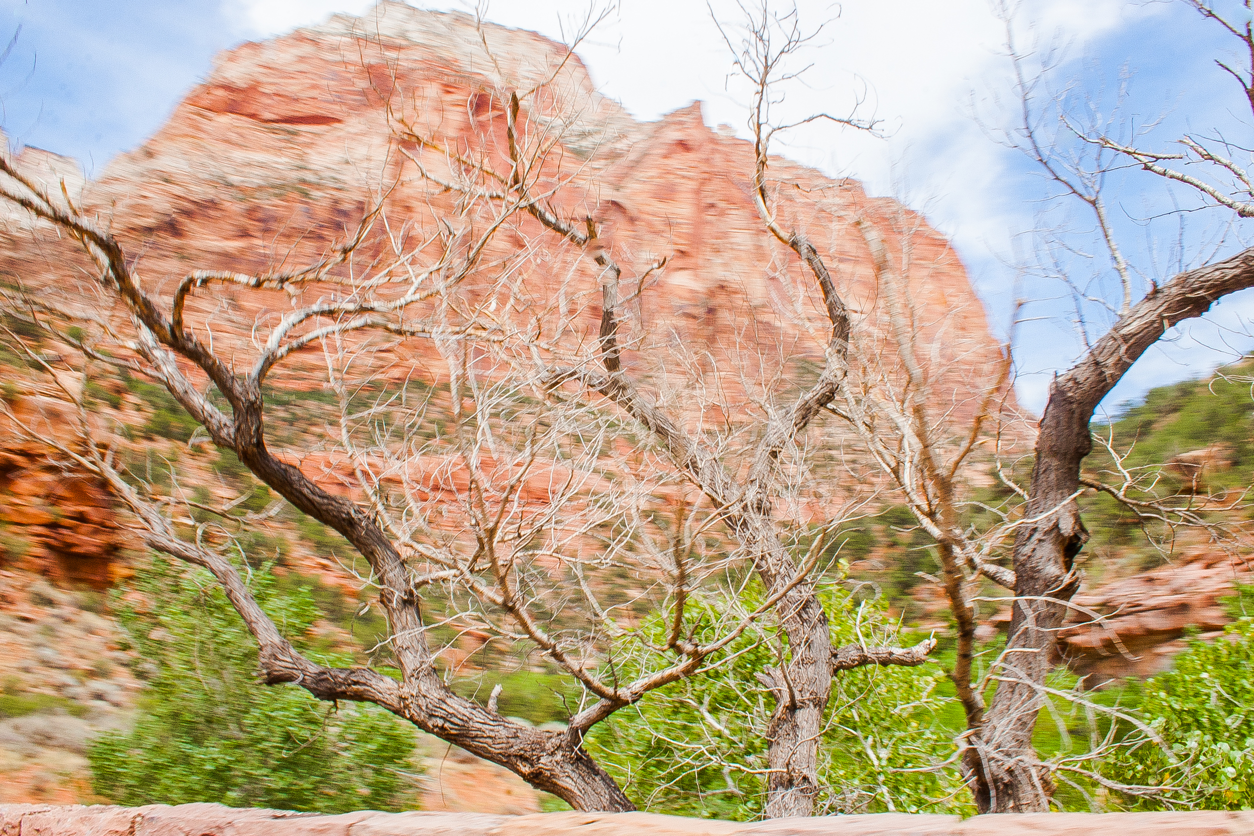 Getting a little fancy with a drive-by shooting (nothing was harmed, just beauty captured).