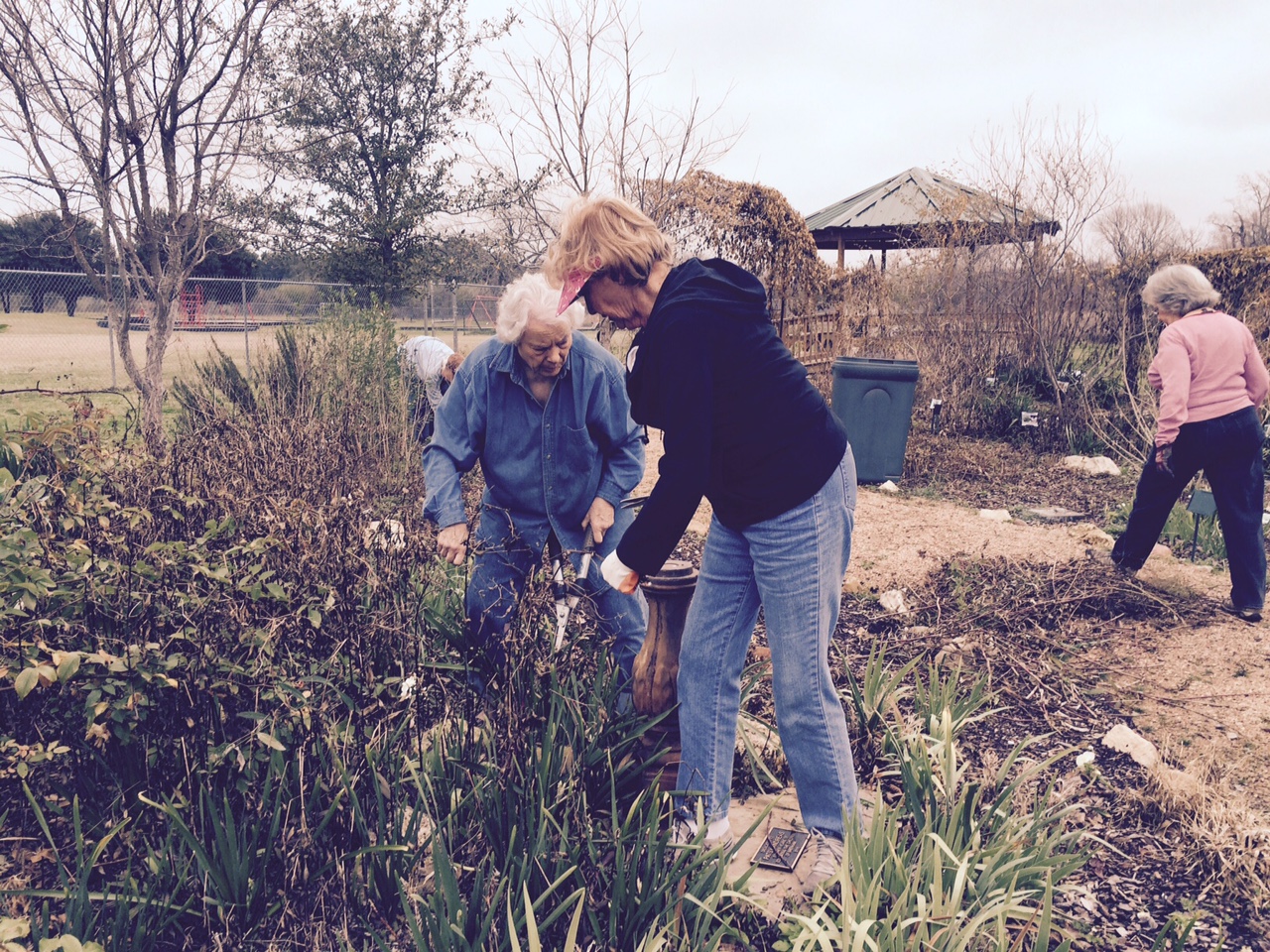 Youth Gardening January III.jpg