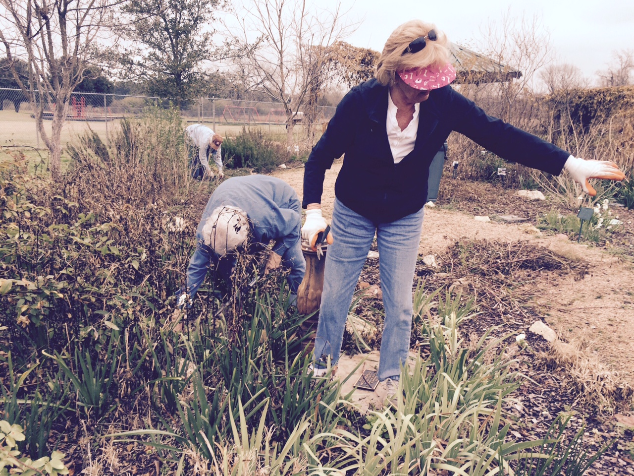 Youth Gardening January IV.jpg