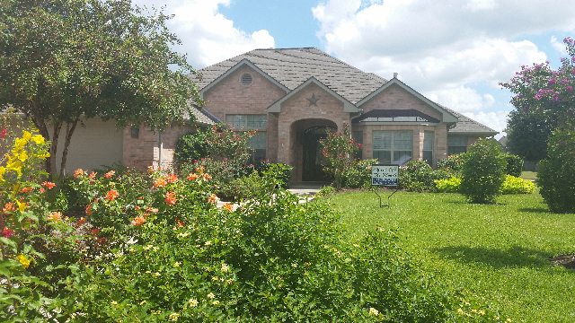 The home of Pastor Martin and Denise Moore at 2413 Ryan Street was chosen by the Bluebonnet Garden Club as the Yard of the Month for September. The front walk trails through a bright, sunny garden filled with blooming flowers in a myriad of colors and species including sweet potato vine, Texas Star hibiscus, lantana, red and orange roses, yellow bells, and Pride of Barbados. Placed along the back patio are containers of purple fountain grass, a sweet olive tree, blue plumbago, periwinkle, velvety red cockscombs, and numerous other plants. This delightful garden is filled with summer flowers that seem to enjoy the hot, dry Texas summer.