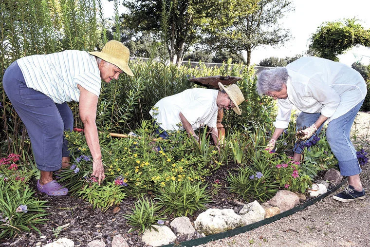 Thank you to the Brenham Banner Press for keeping up with us at the garden. This was front page the week before activities began for the children in the Butterfly Garden. "Bluebonnet Garden Club members Carolyn Sander, Twila Tate and Joy Kenjura remove weeds, poison ivy and other items from the Butterfly Garden so it’s ready for children Thursday morning. The club’s members come out to the garden every Thursday morning to do work on the garden so children can learn more about the outdoors in a tidy and safe area."