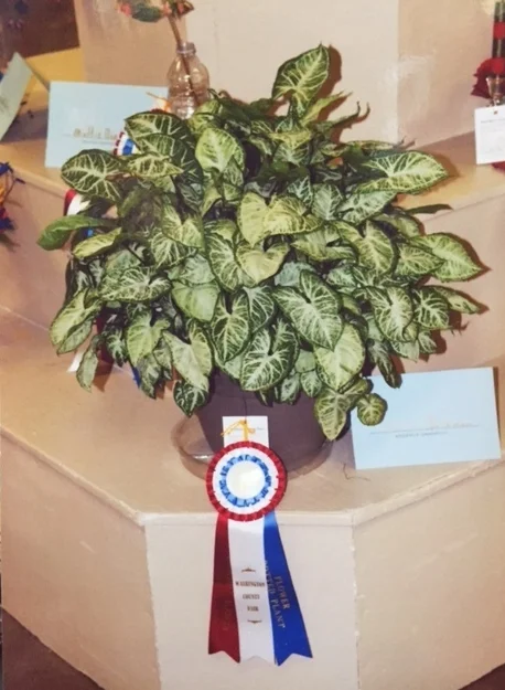 Sherry Barkman's Reserve Champion entry!