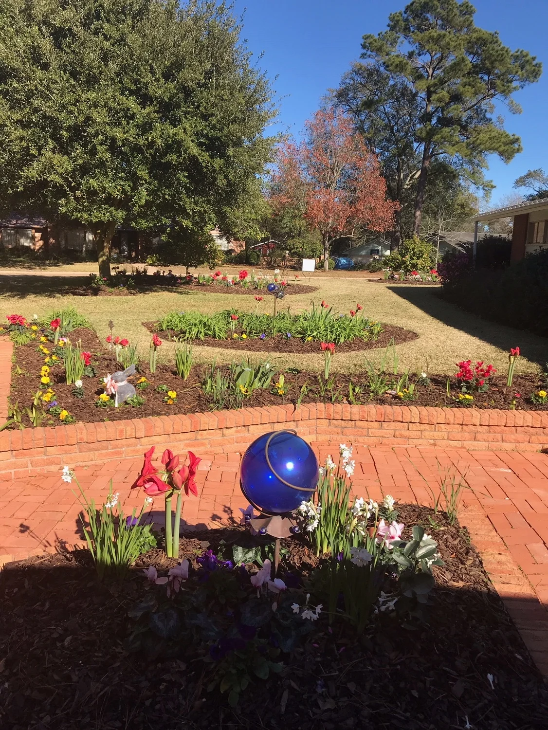 December 2018 Yard of the Month.jpeg