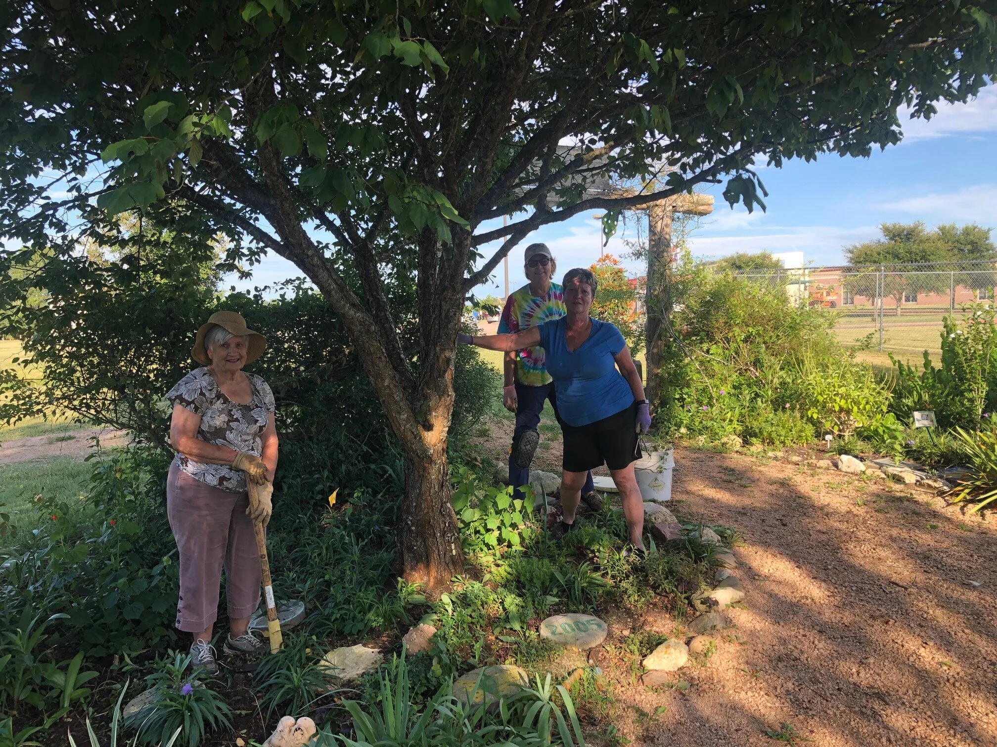 Youth Gardeningbutterfly Garden