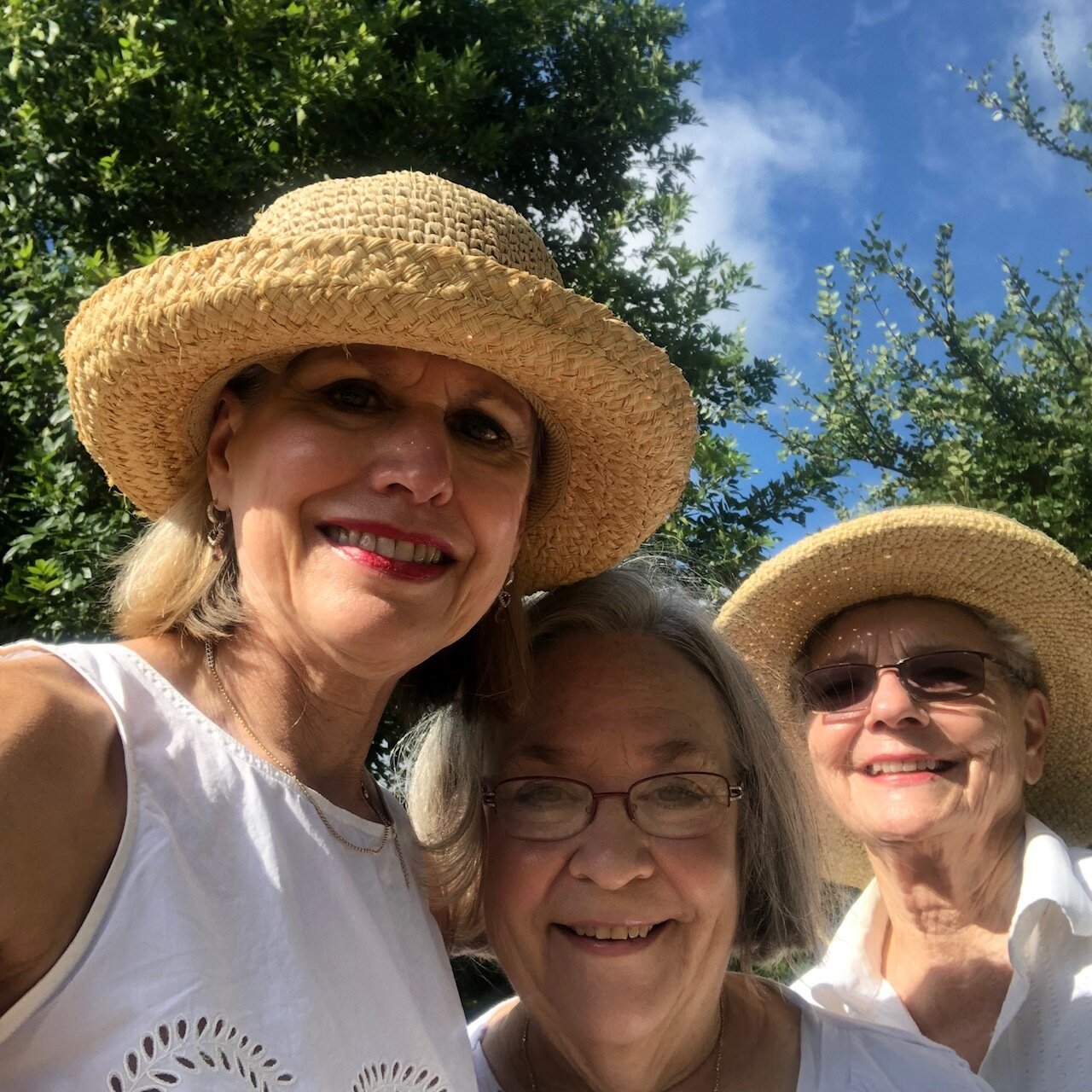 Butterfly Garden July 2019.jpeg