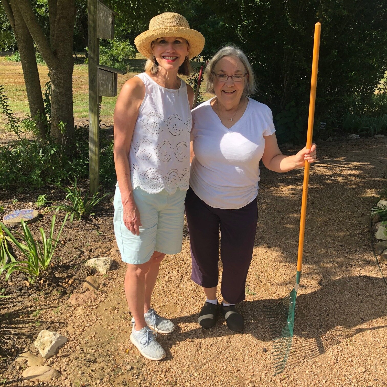 Butterfly Garden II July 2019.jpeg