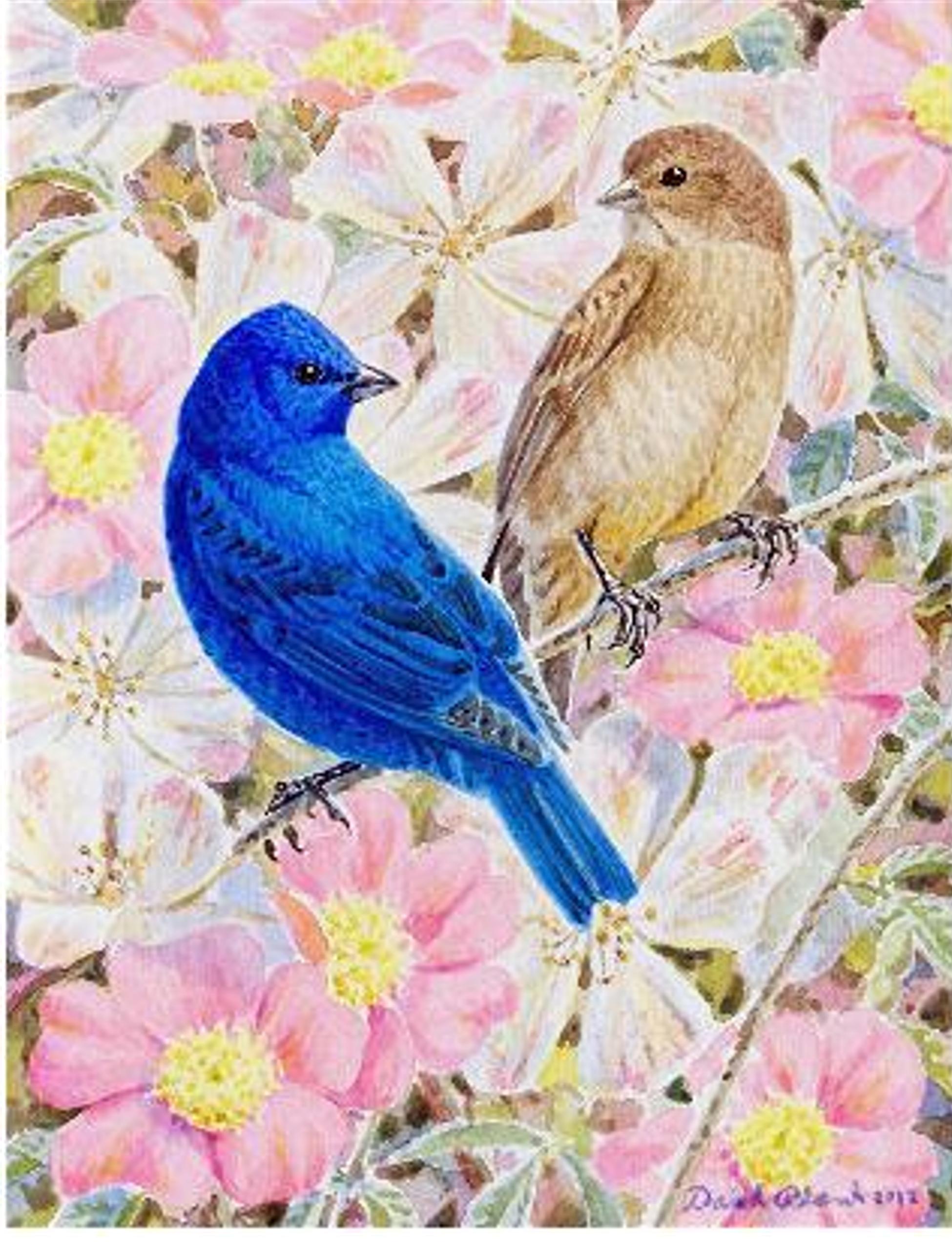 "Indigo Bunting Pair" Watercolor by David Plank