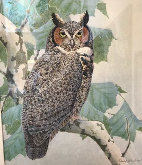 "Great Horned Owl"  Watercolor by David Plank SOLD  
