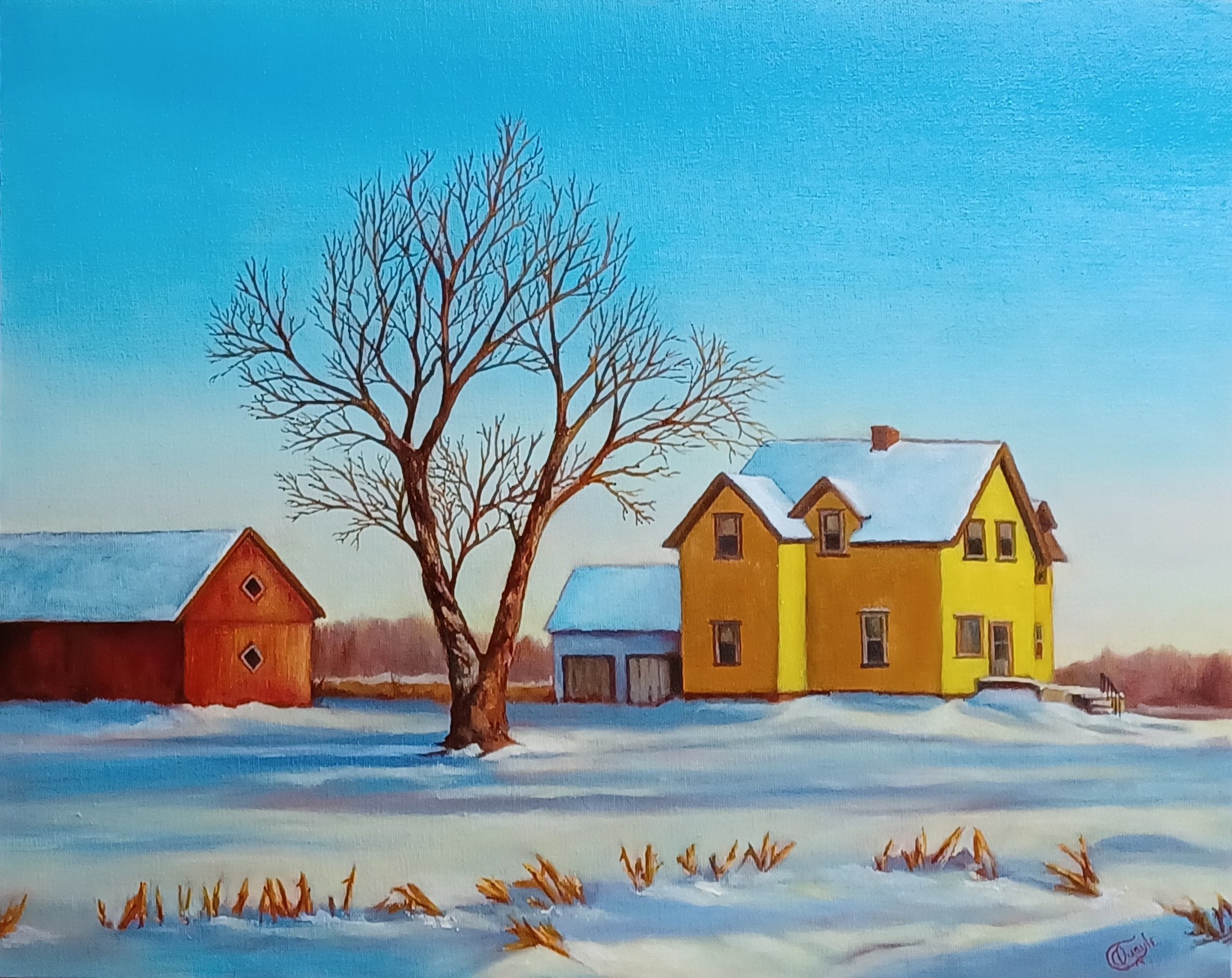"Early Morning Snow Blanket"