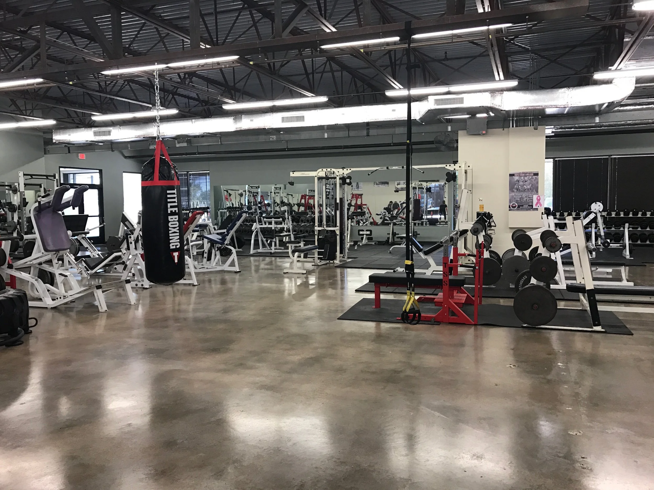 Power racks, competition bench press, heavy bags and open gym space at Gym One.
