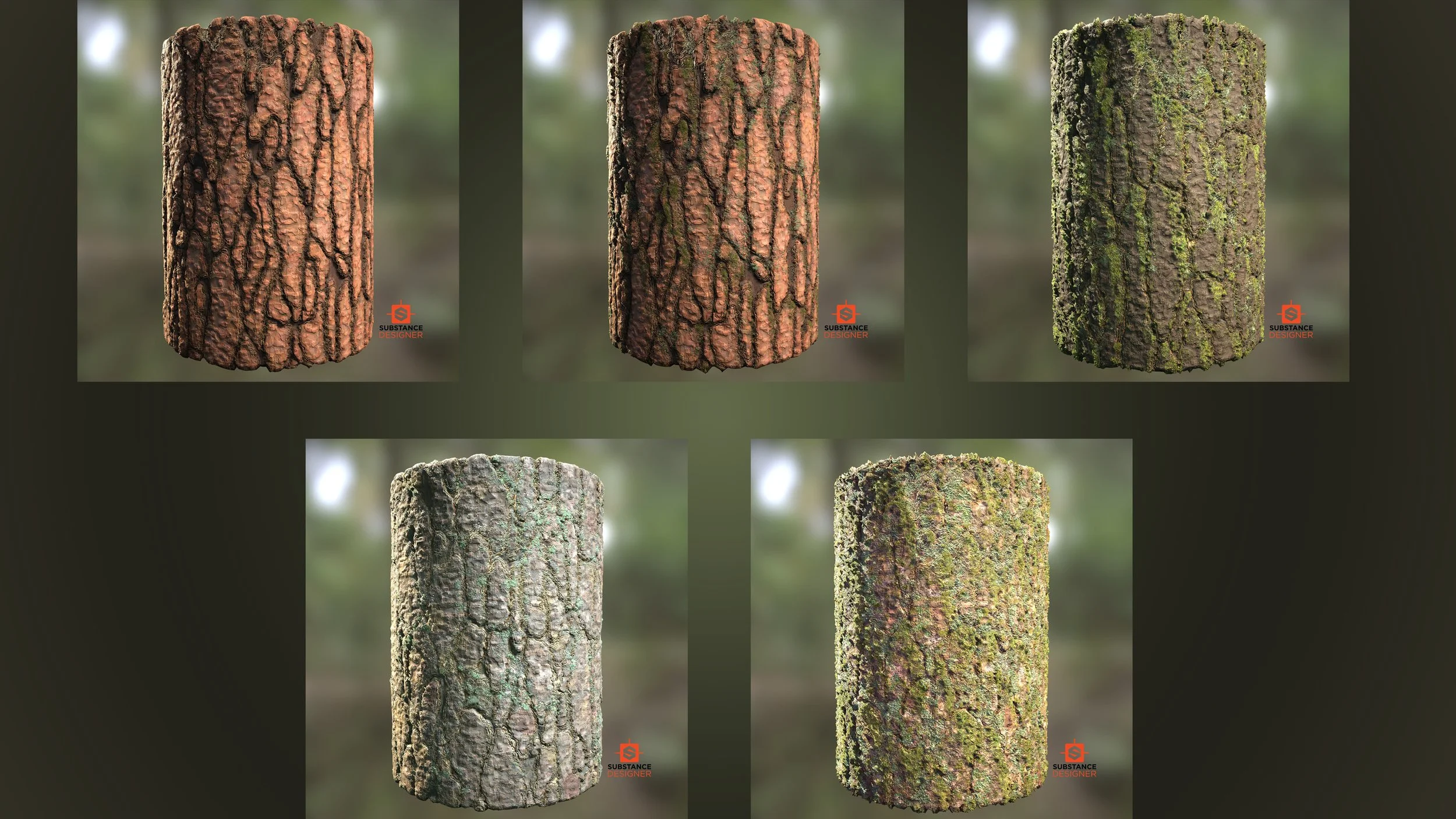 Scots Pine, Clean, Light Moss, Heavy Moss, Weathered