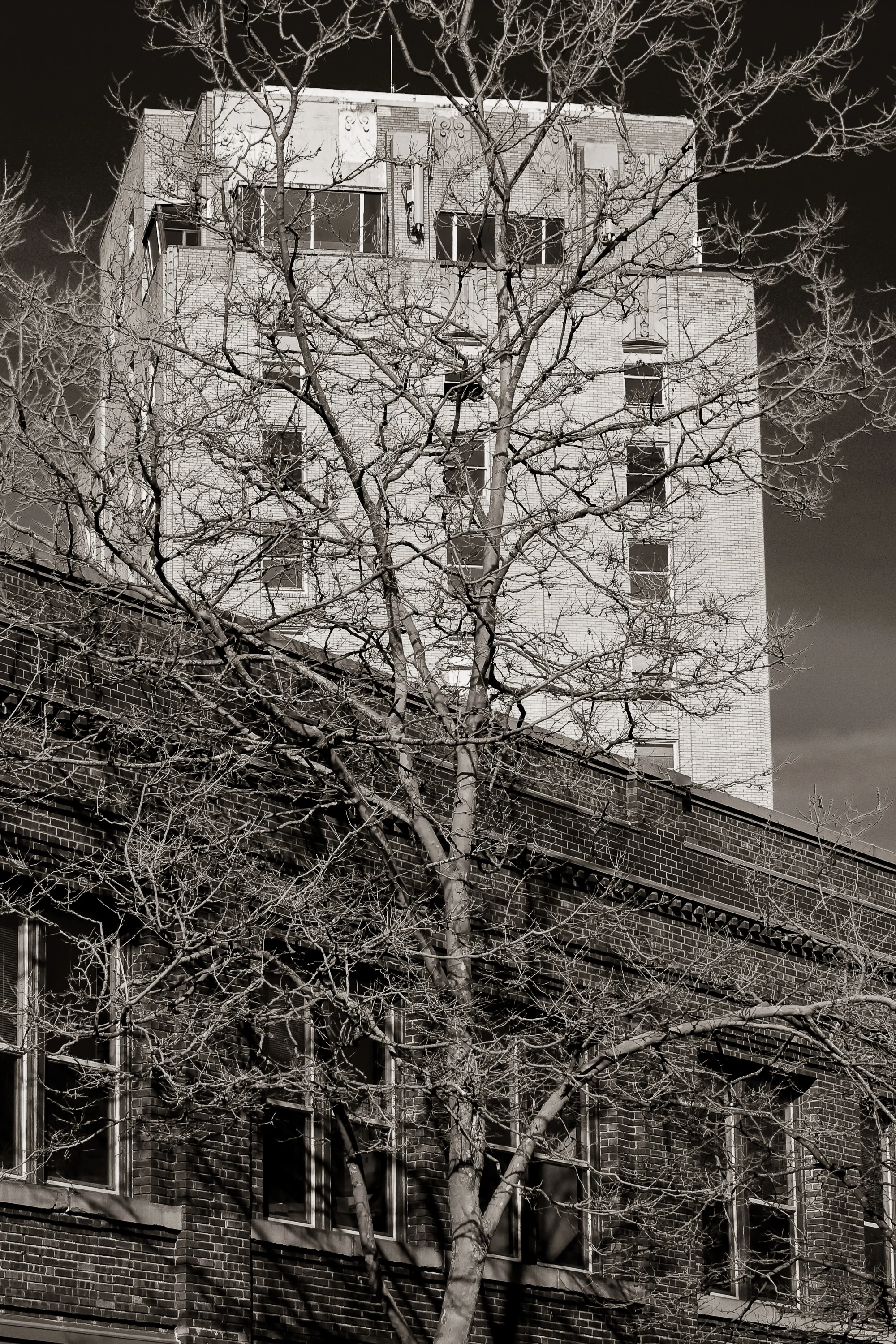 Bellingham-13.jpg