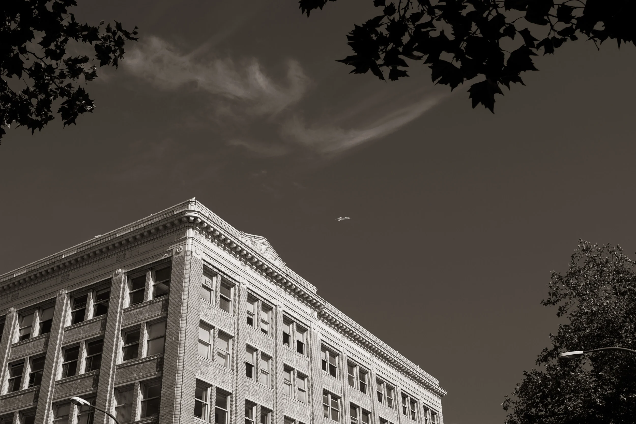 Bellingham-29.jpg