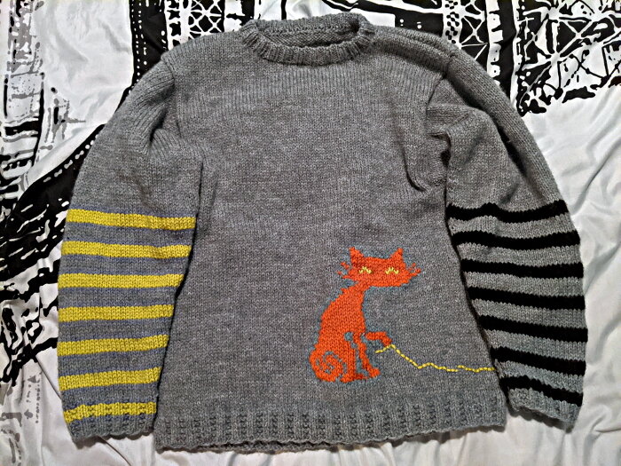 orange cat pullover