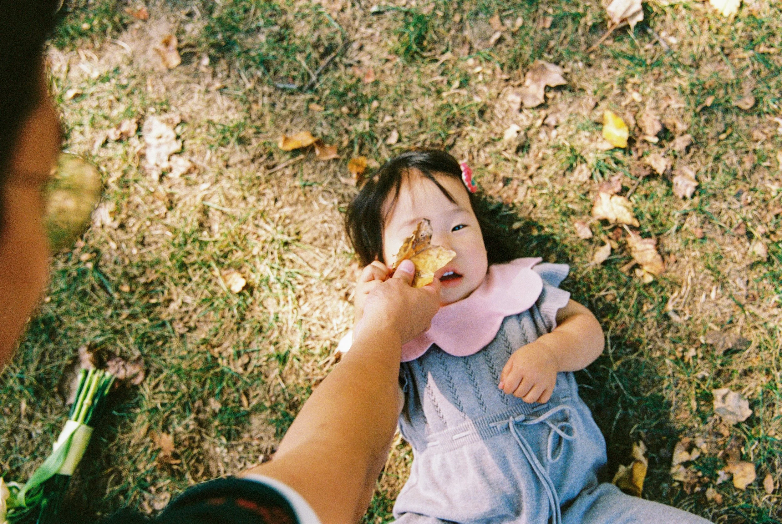 newjerseyfamilyphotos-5.jpg