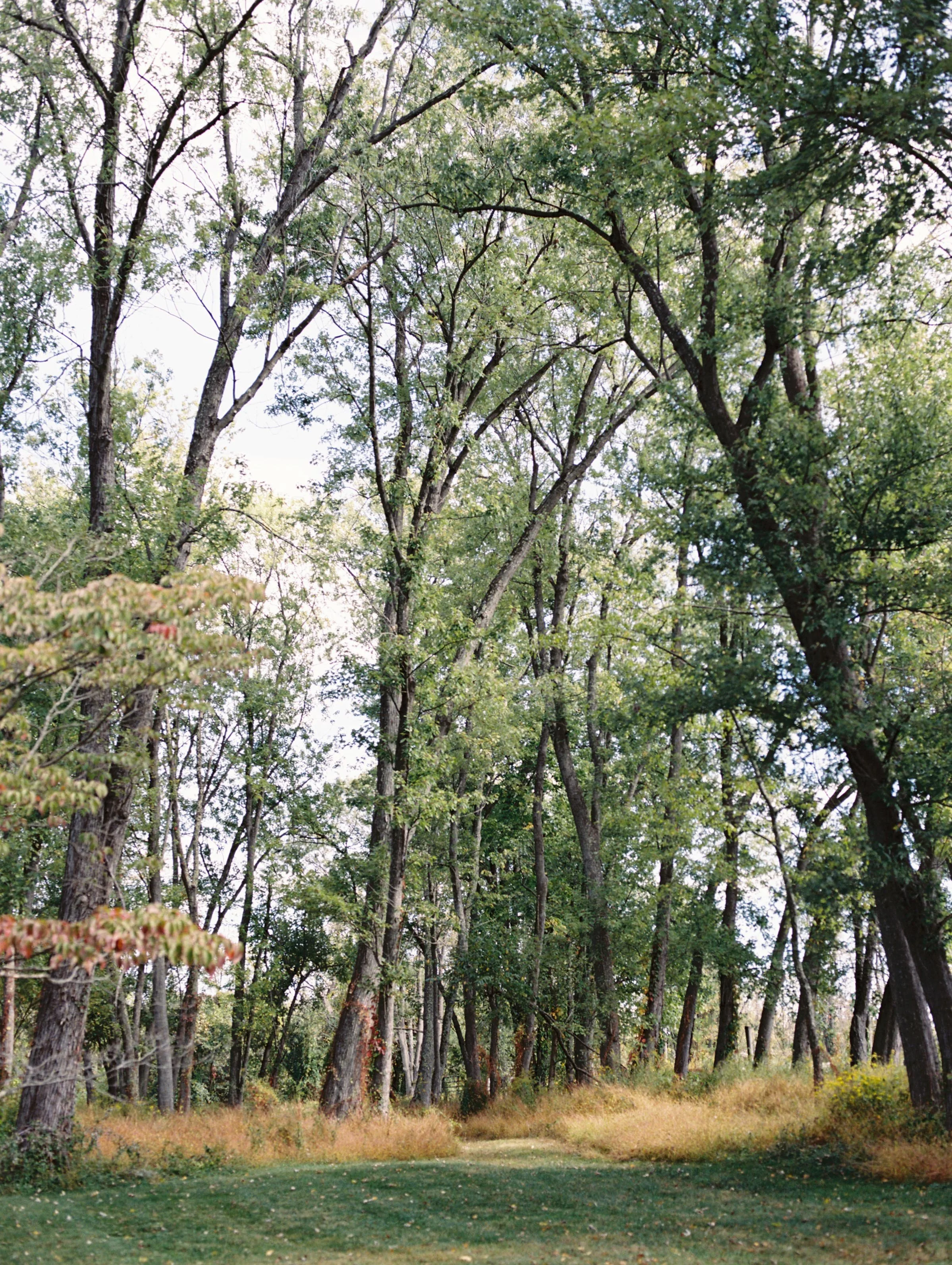 2029624-R1-E005.jpg