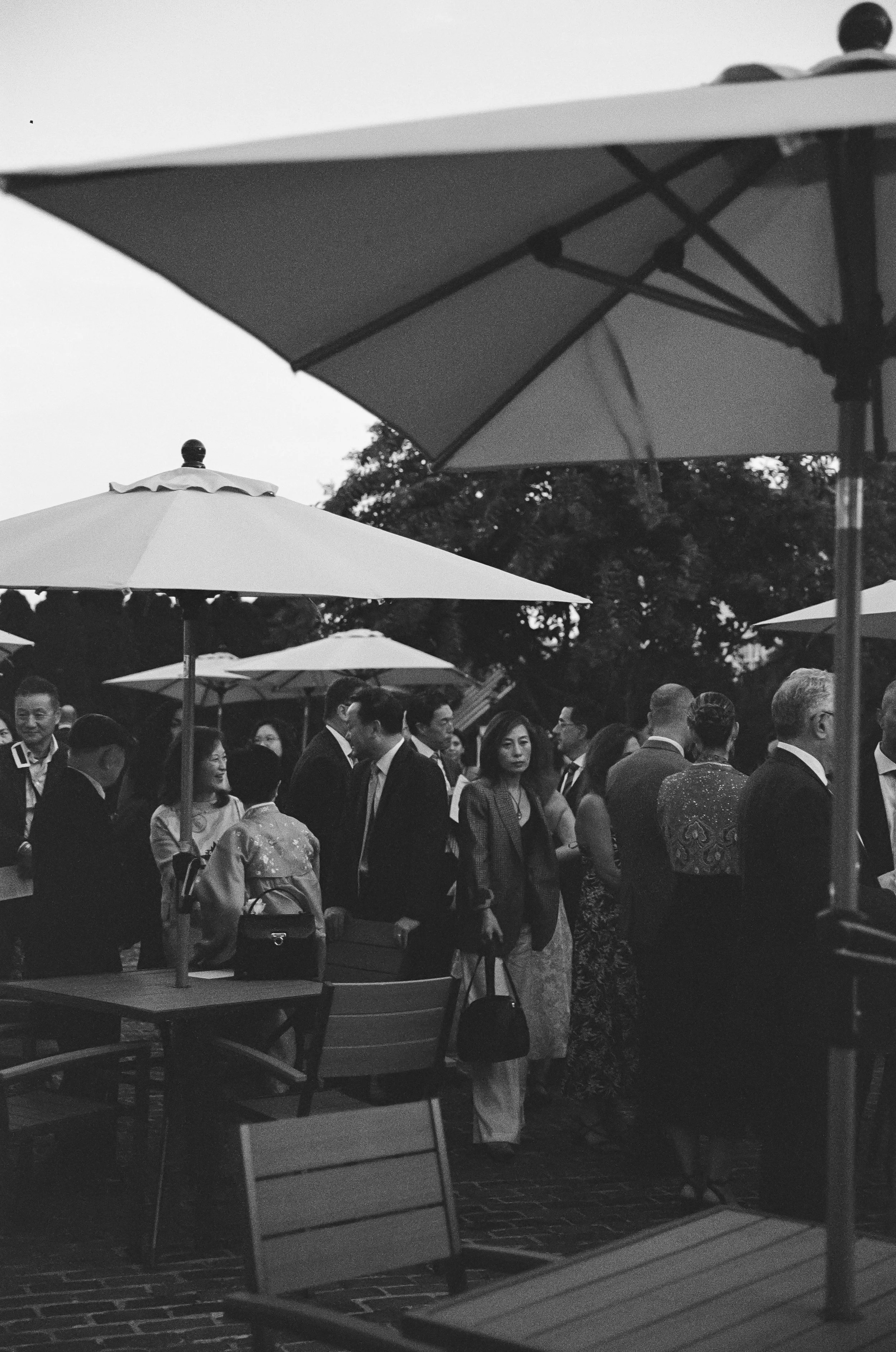 19604 11192025 3-019.jpg