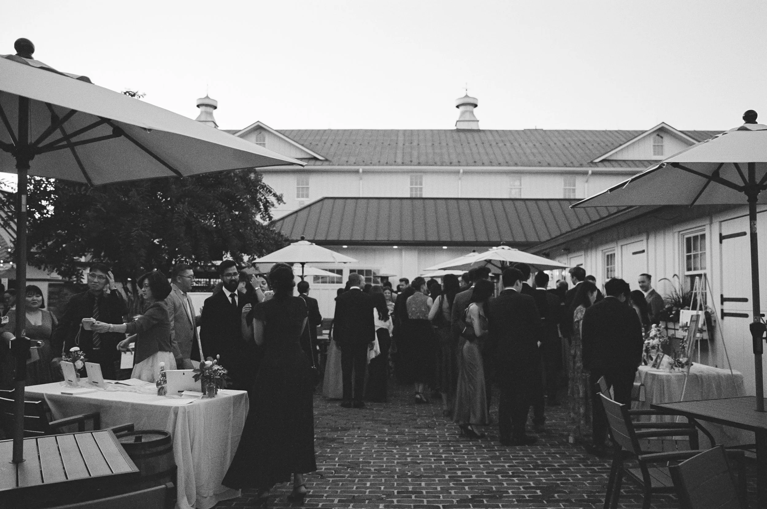 19604 11192025 3-011.jpg