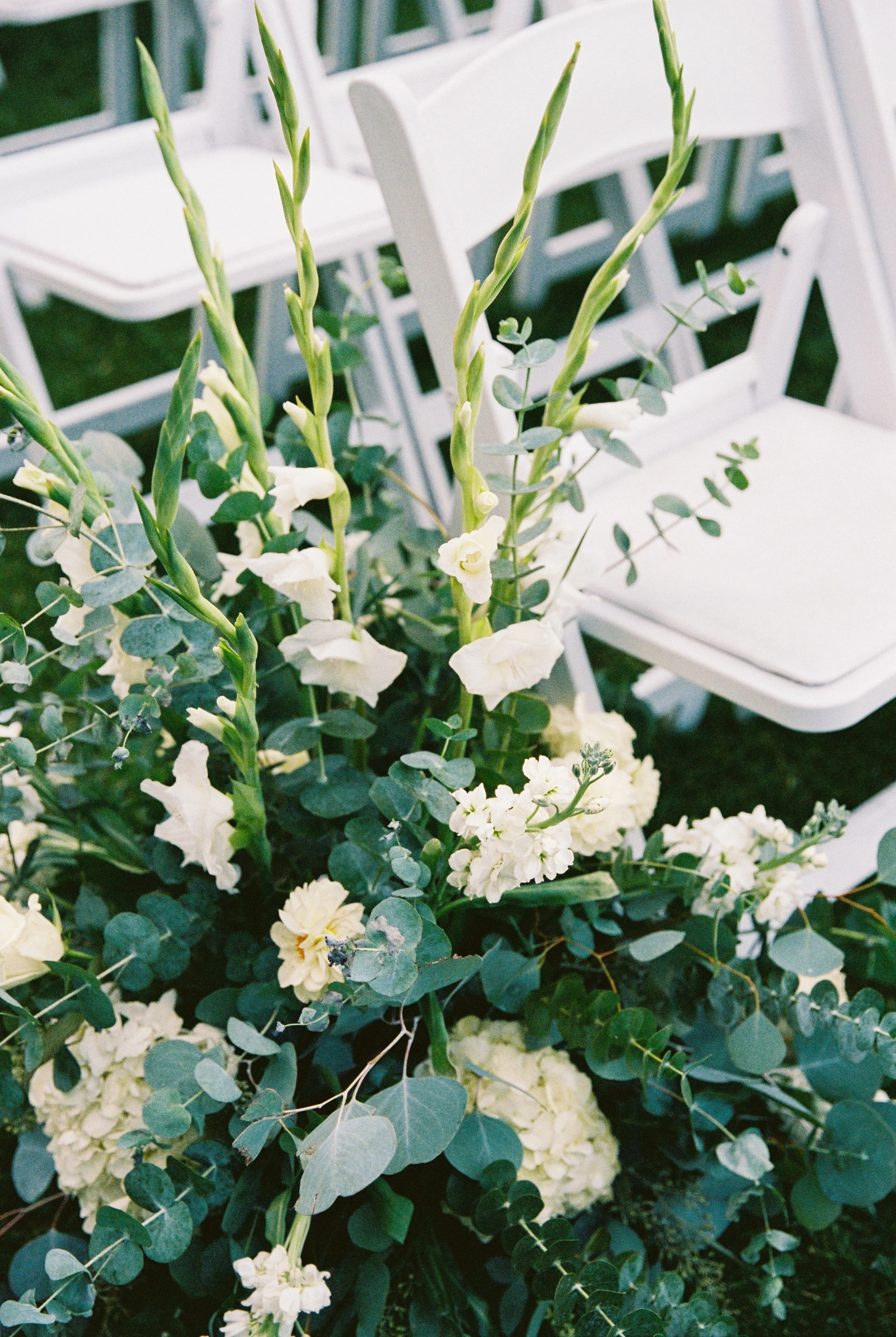 18754 10152025 4-028.jpg