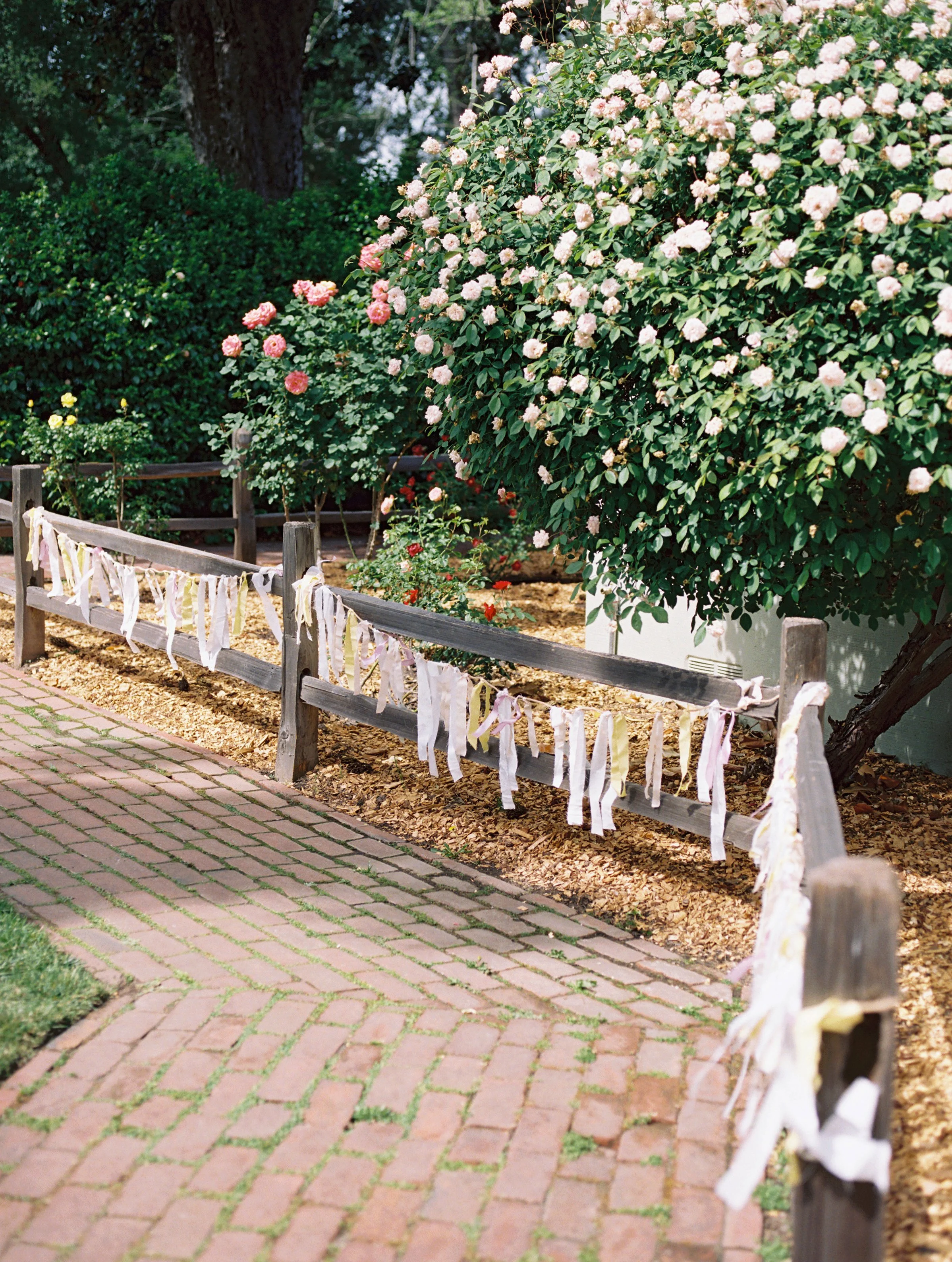 santacruzweddingonfilm-2.jpg