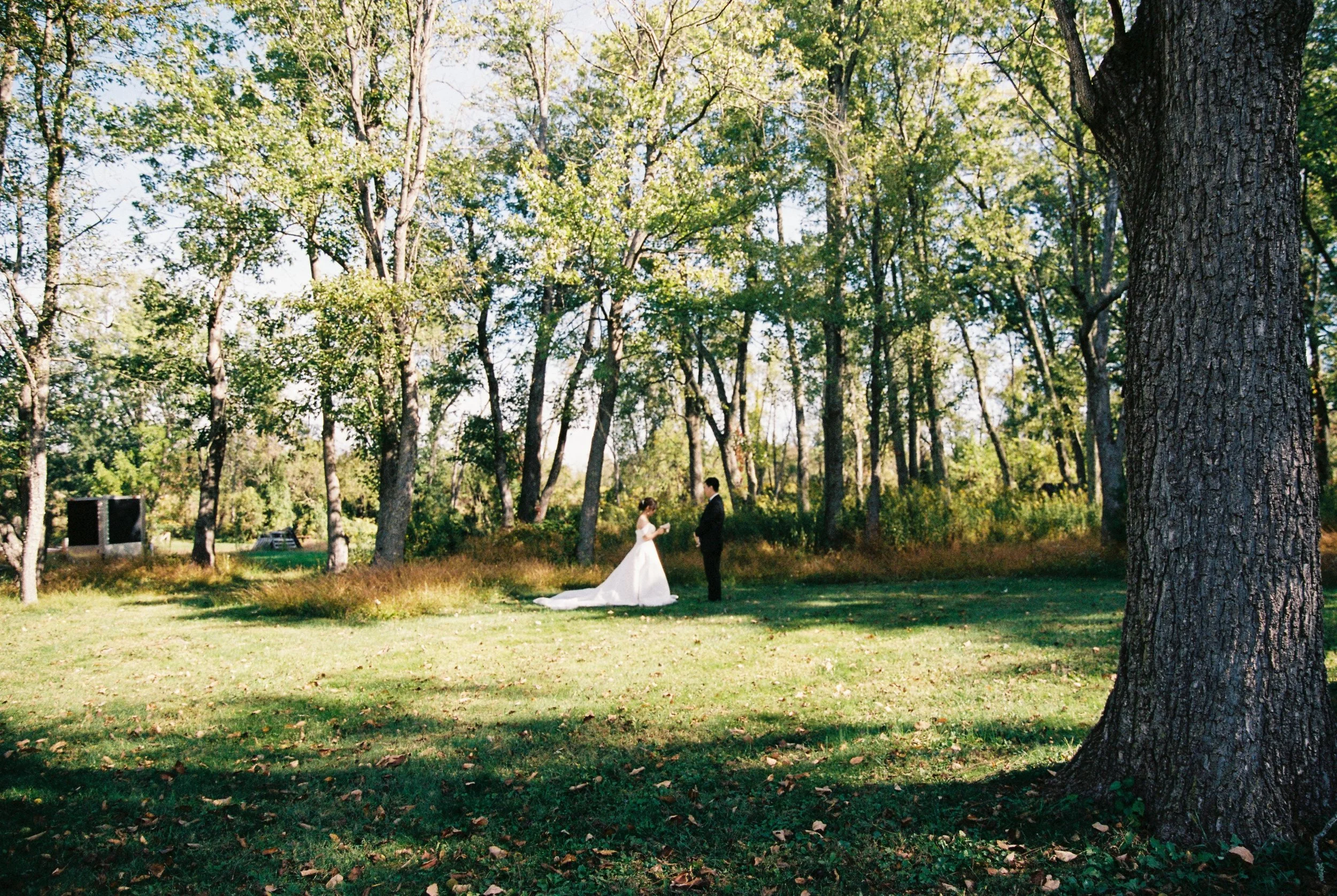 18754 10152025 2-019.jpg