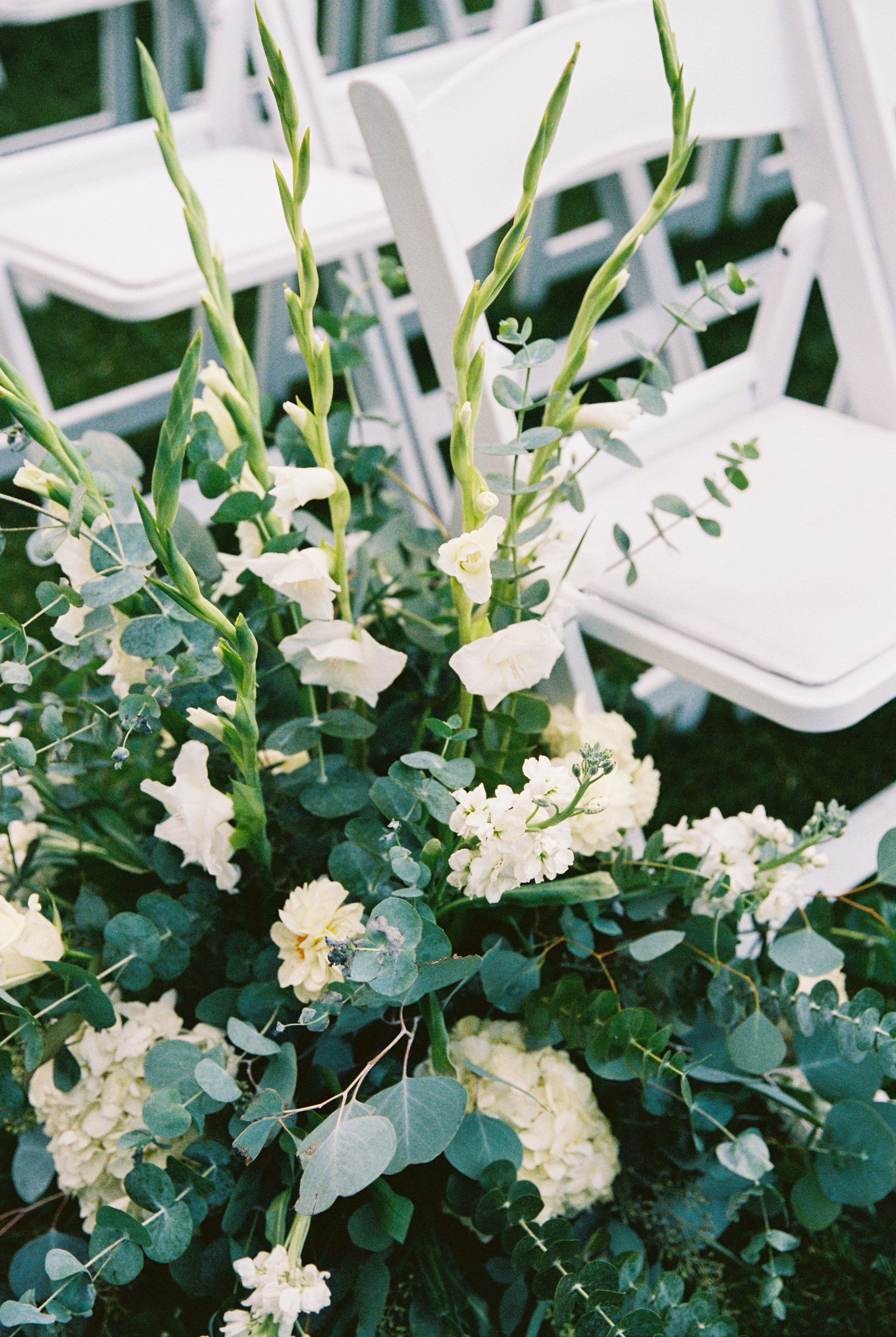 18754 10152025 4-028.jpg