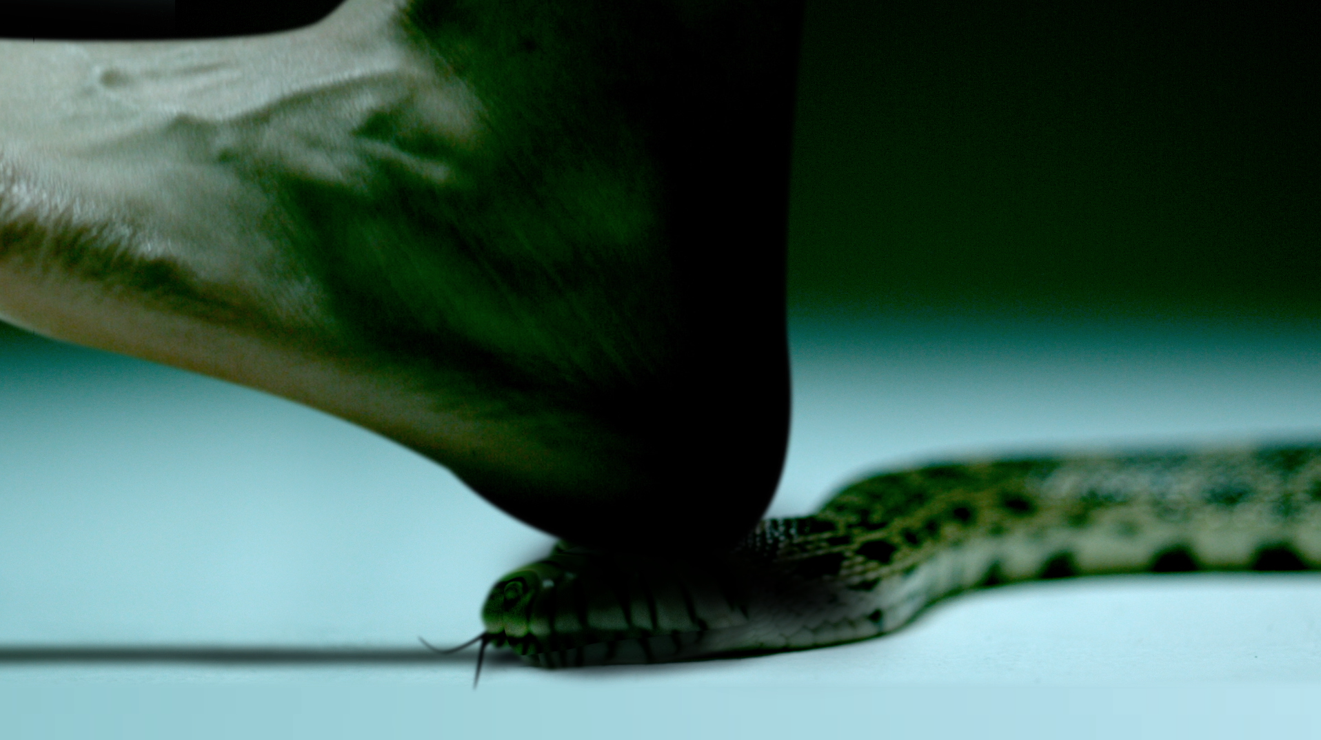 Screen Shot 2015-03-23 at 10.37.36 PM.png