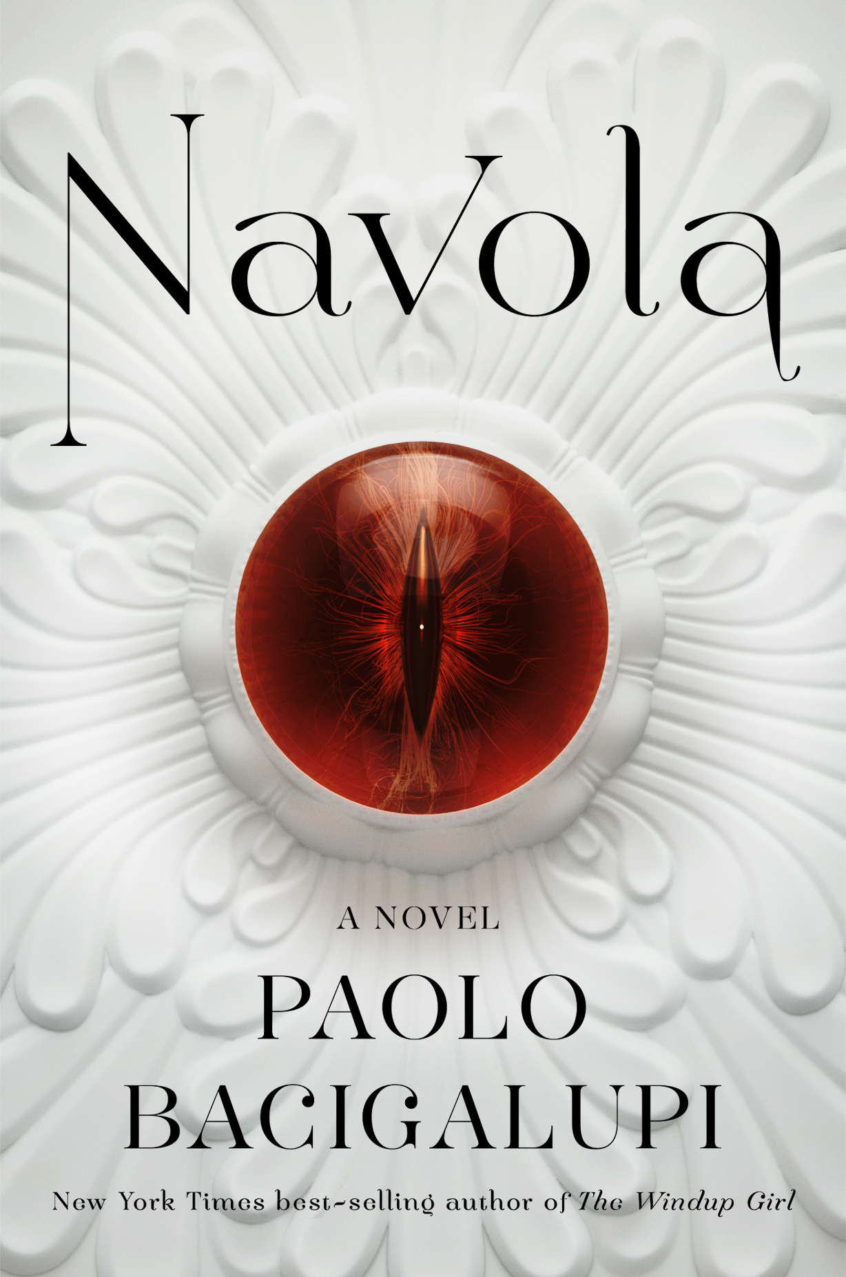navola_type.png