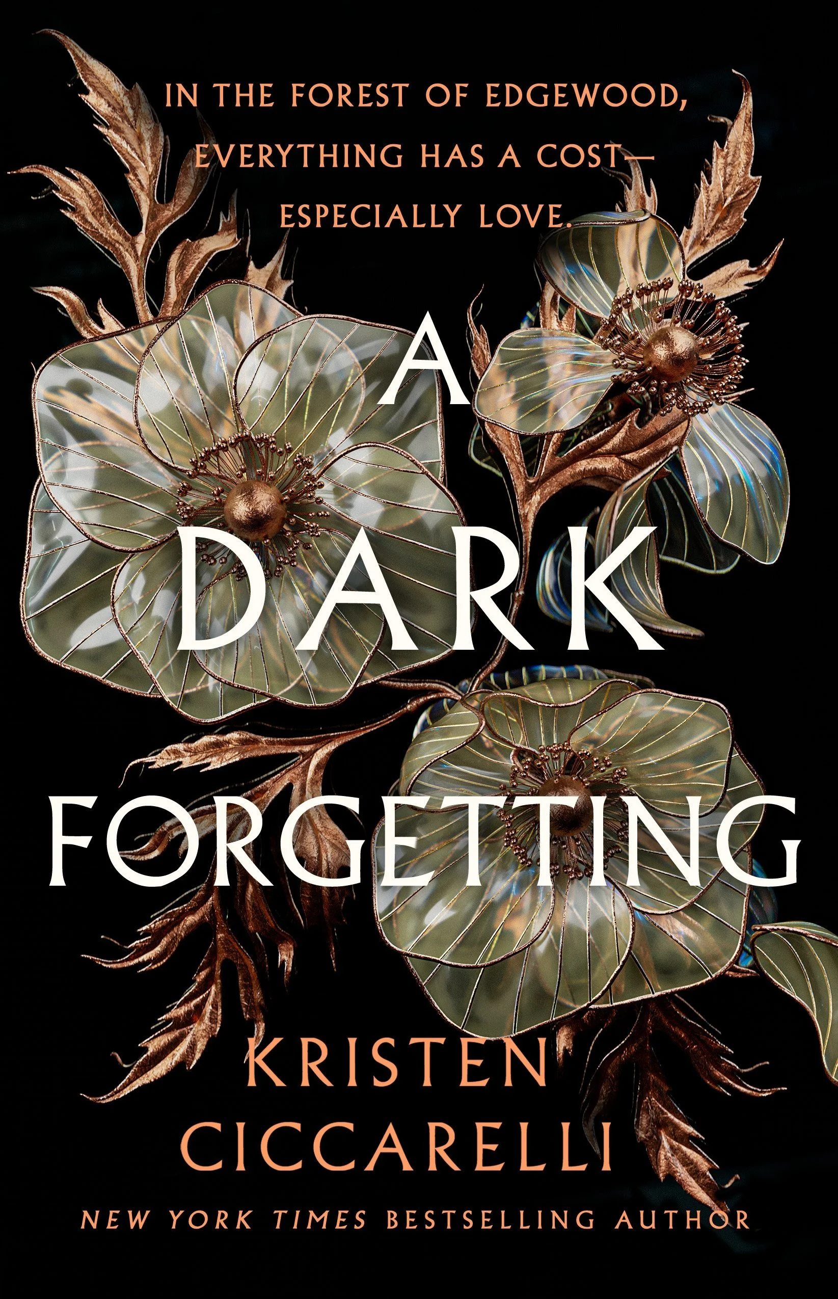 A+Dark+Forgetting-Final+Cover.jpg
