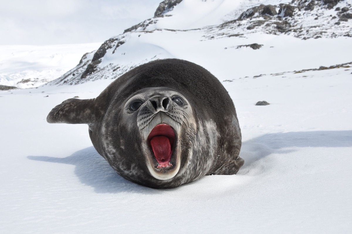 The rage! Photo credit: Serge Ouachée