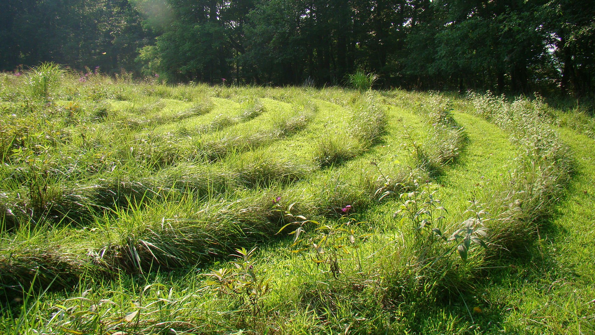 Labyrinth at Hope Springs, photography by Eyes of Wonder, Iveagh McGrath.JPG