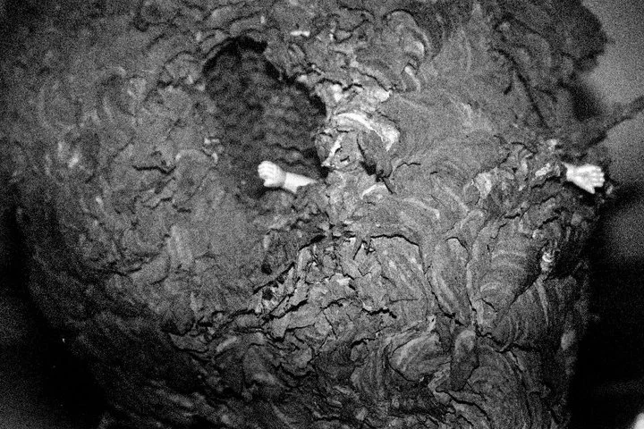 37125_651173730857_774757_n.jpg